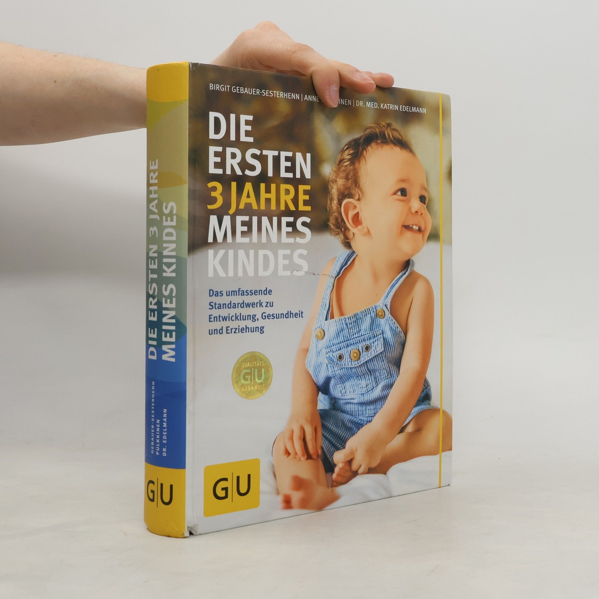 Birgit Gebauer-Sesterhenn Die ersten 3 Jahre meines Kindes