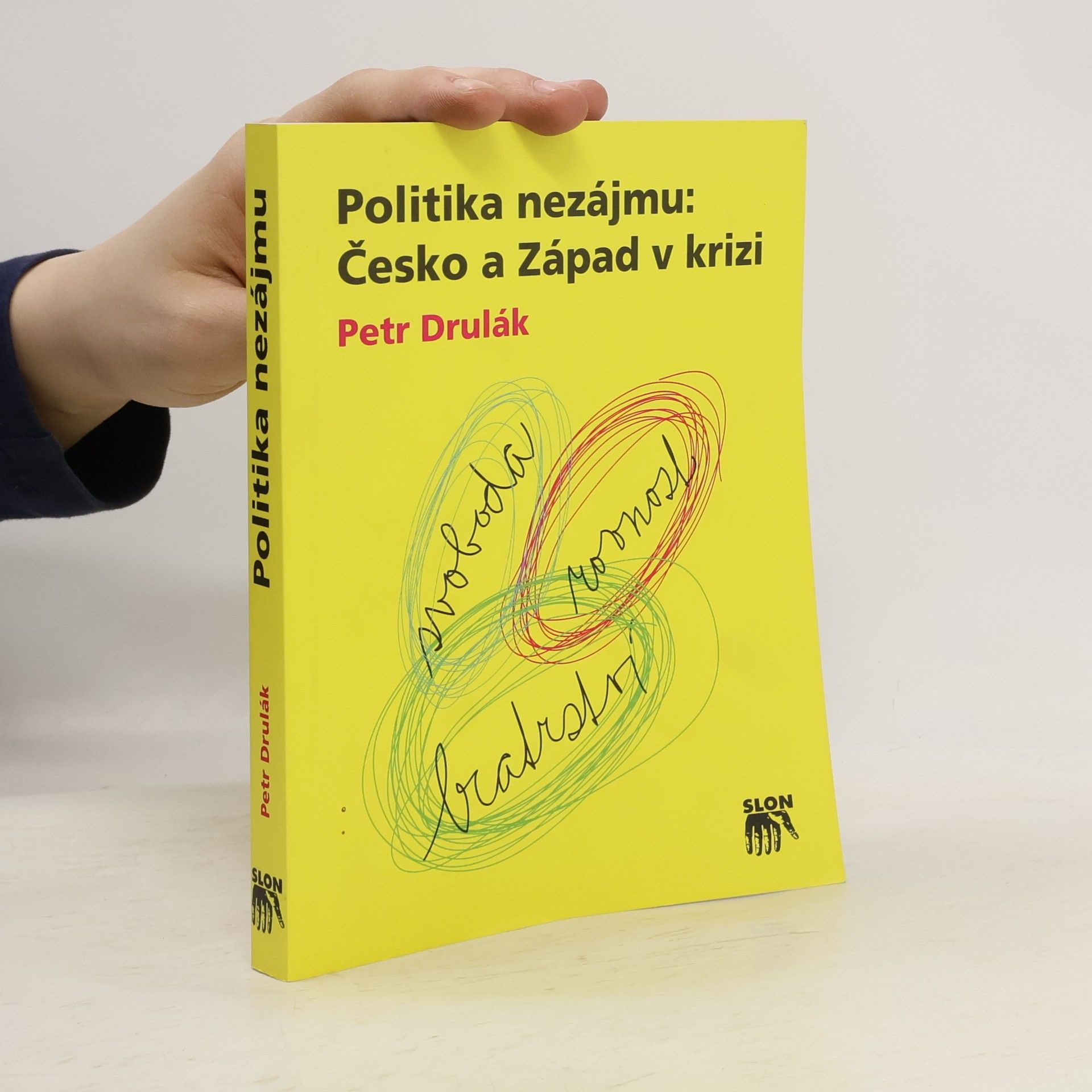 Petr Drulák Politika nezájmu
