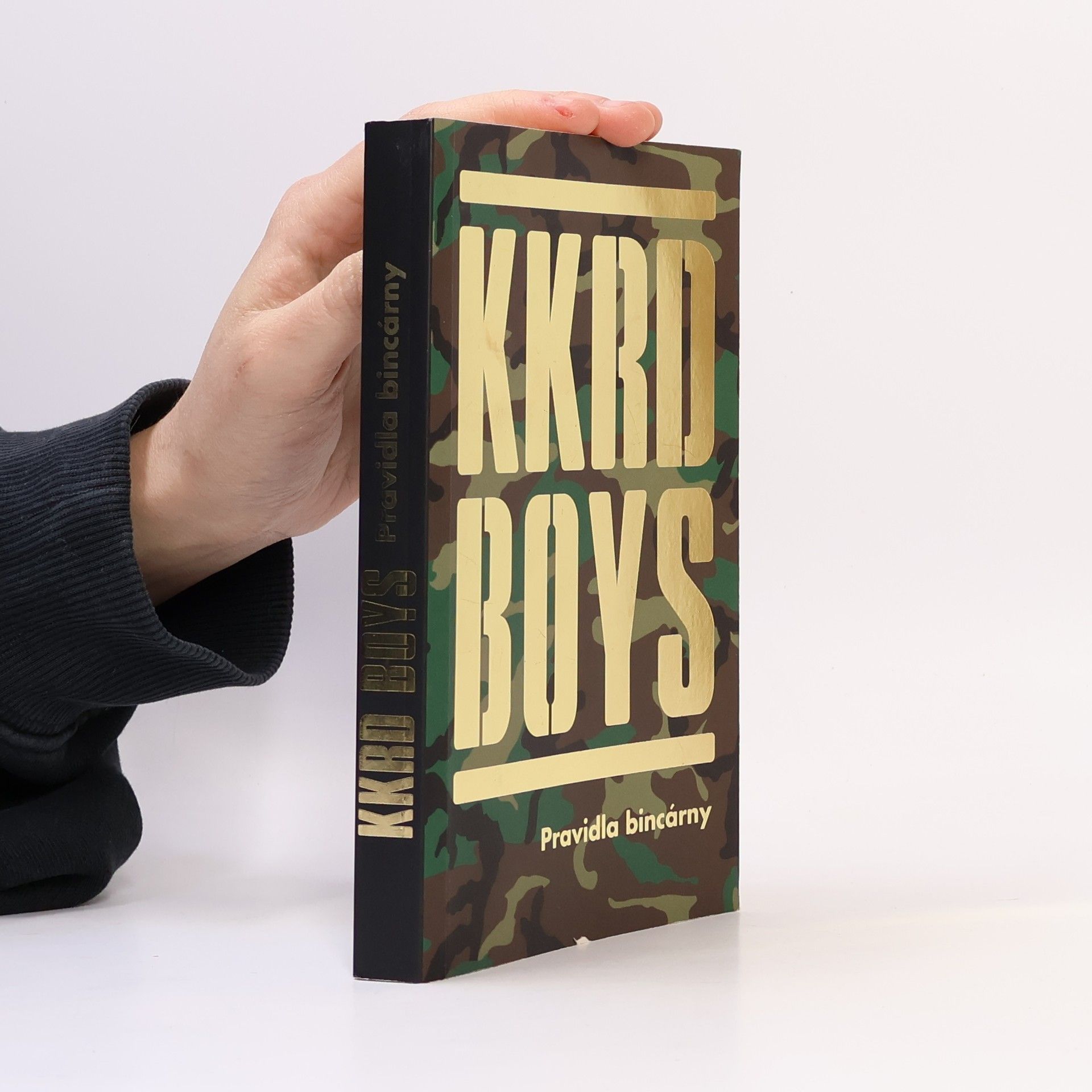 Autorenkollektiv KKRD Boys. Pravidla bincárny