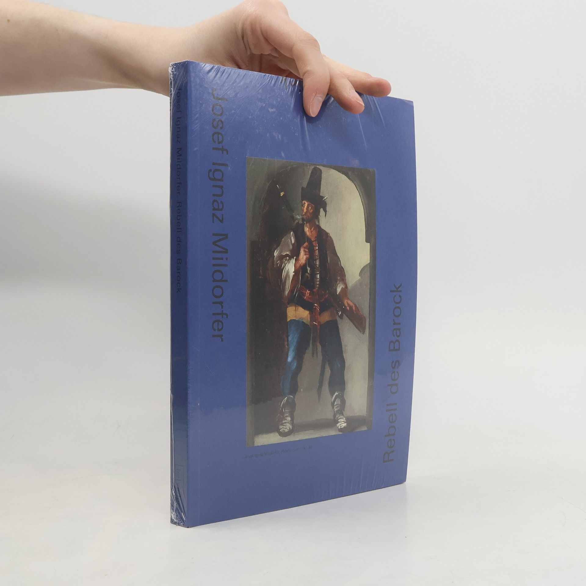 Stella Rollig Josef Ignaz Mildorfer - Rebell des Barock