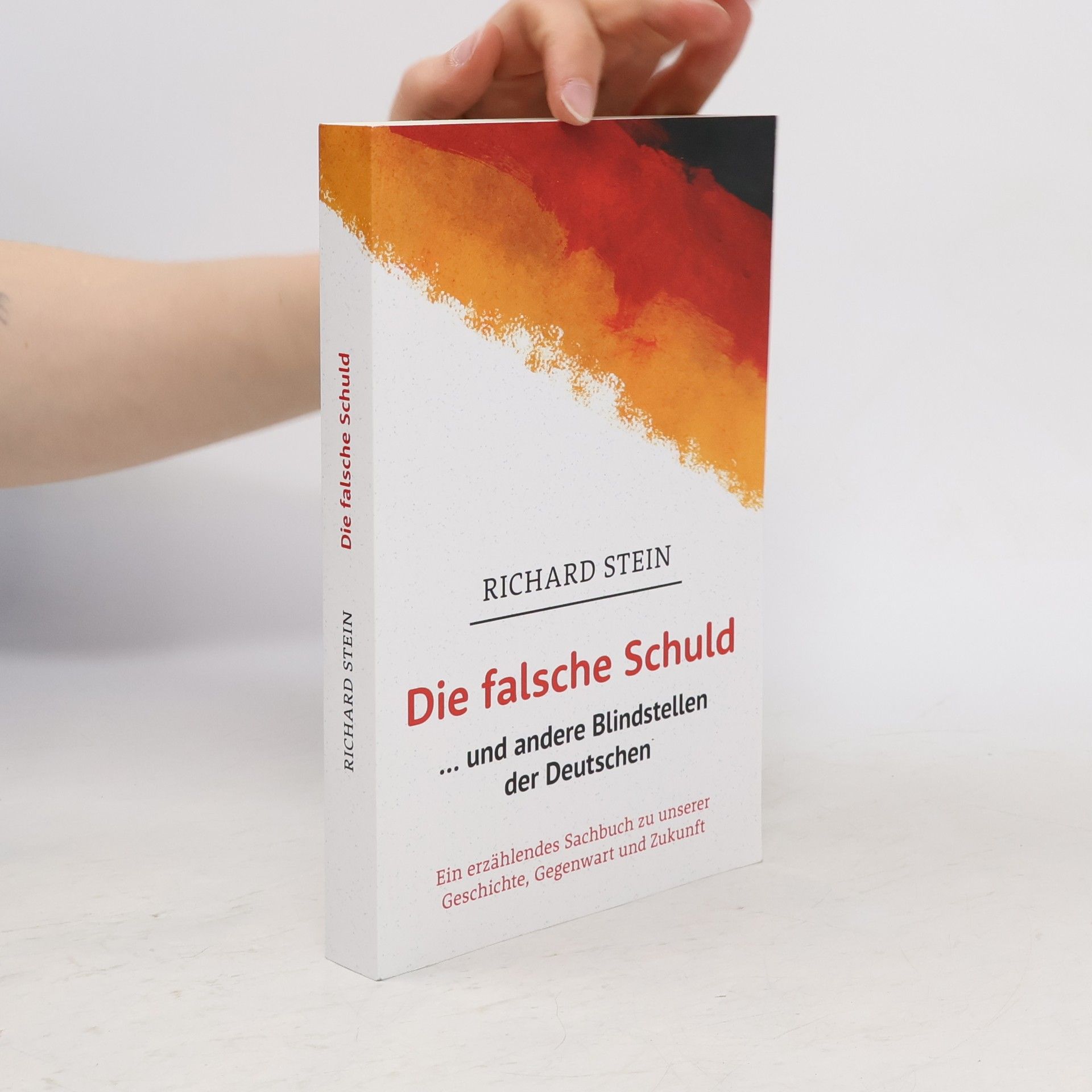 Richard Stein Die falsche Schuld... und andere Blindstellen der Deutschen