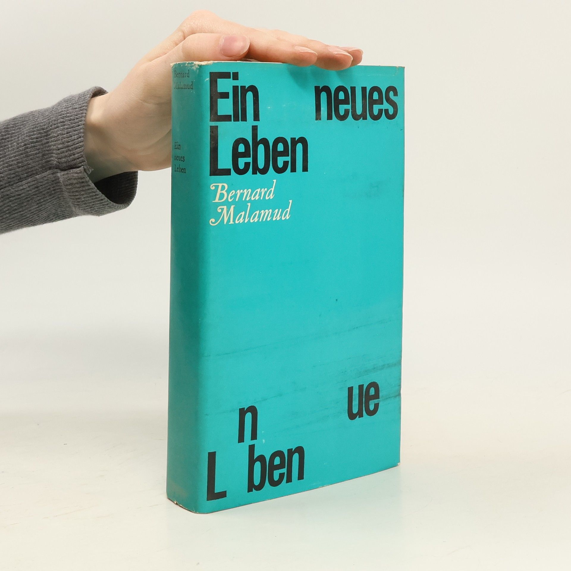 Bernard Malamud Ein neues Leben