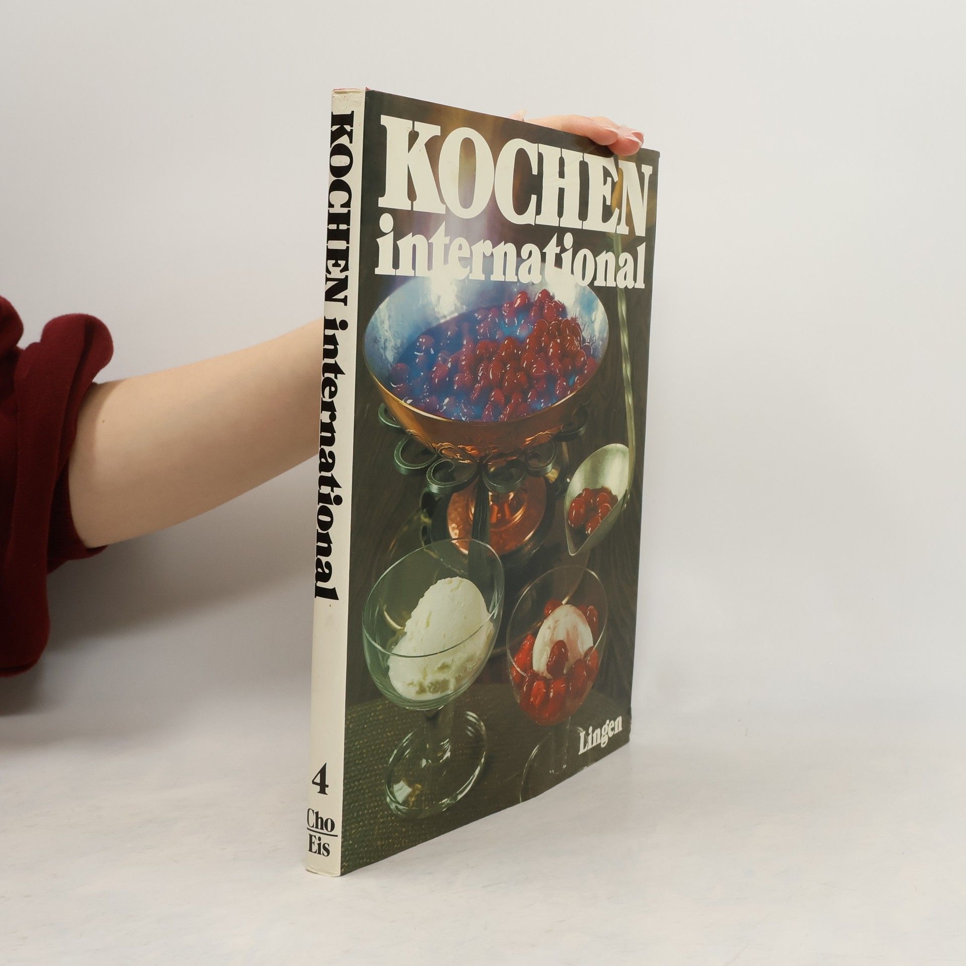 Kolektiv autorů Kochen international 4