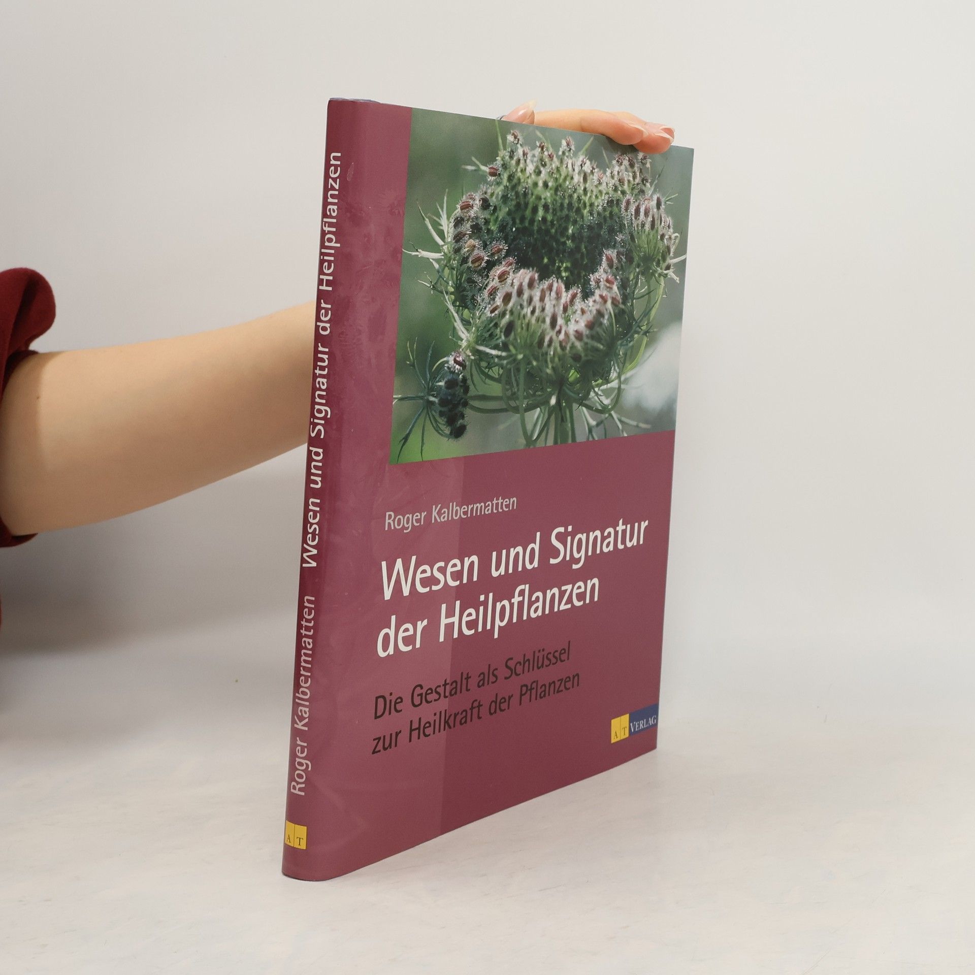 Roger Kalbermatten Wesen und Signatur der Heilpflanzen