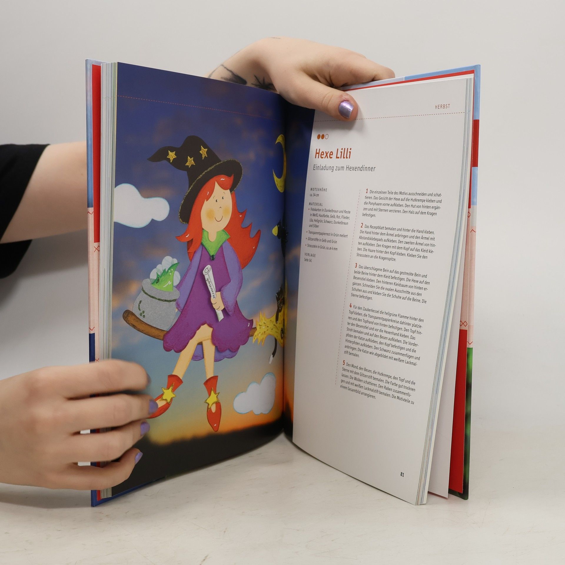 Das große Buch der Fensterbilder