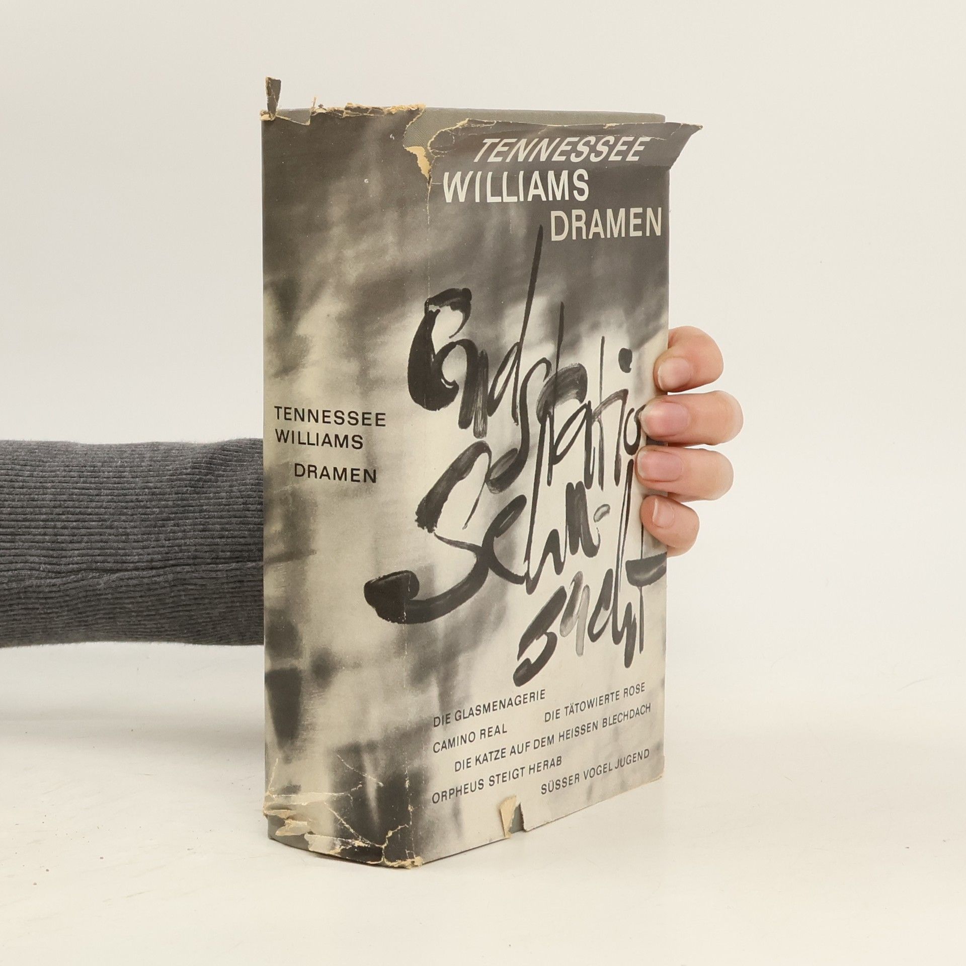 Tennessee Williams Dramen