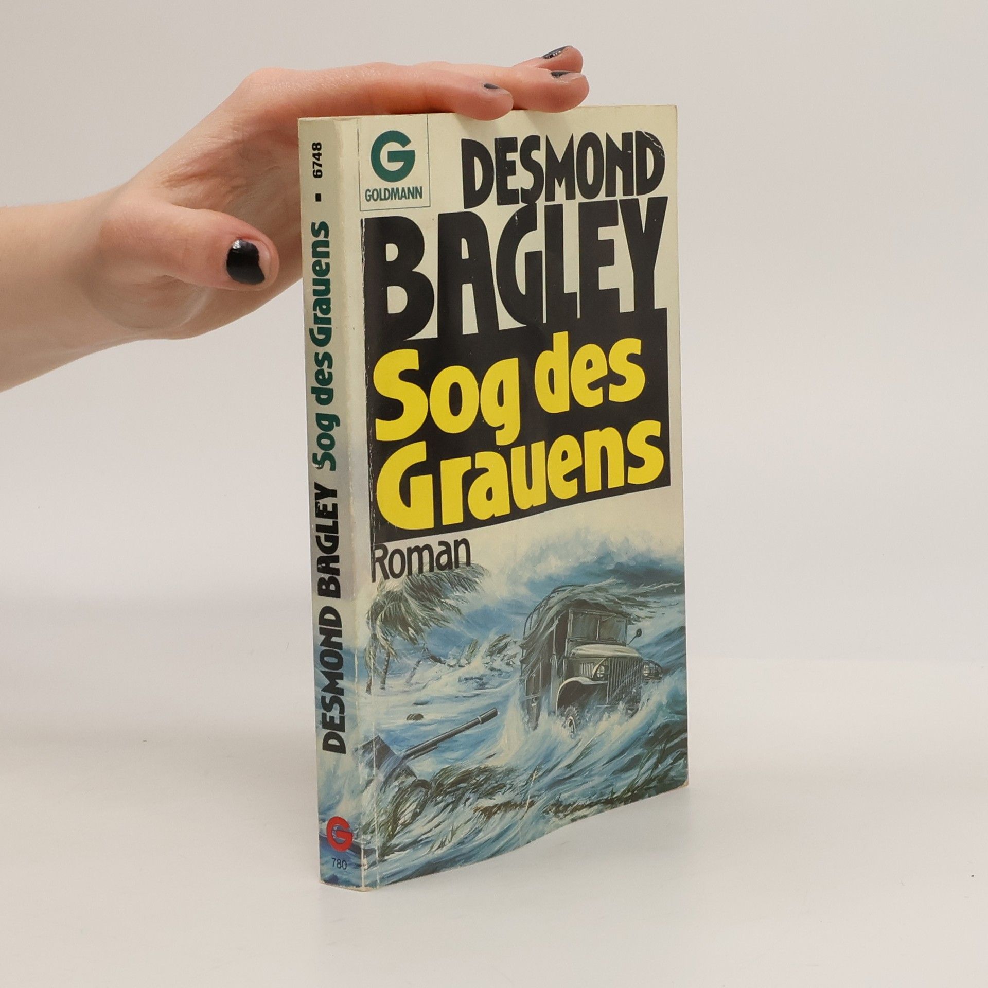 Desmond Bagley Sog des Grauens