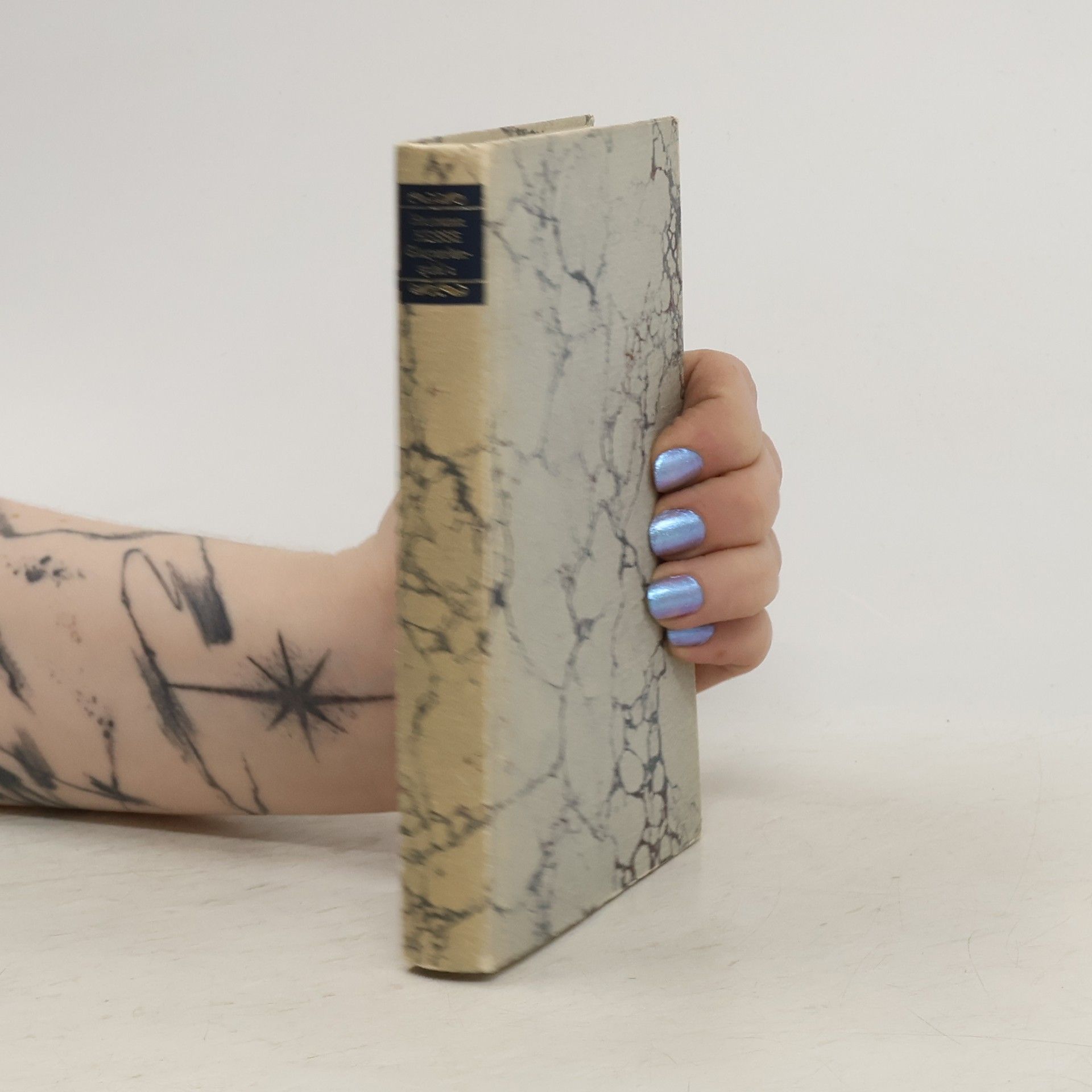 Hermann Hesse Die Romane und die Grossen Erzählungen 8. Das Glasperlenspiel 2