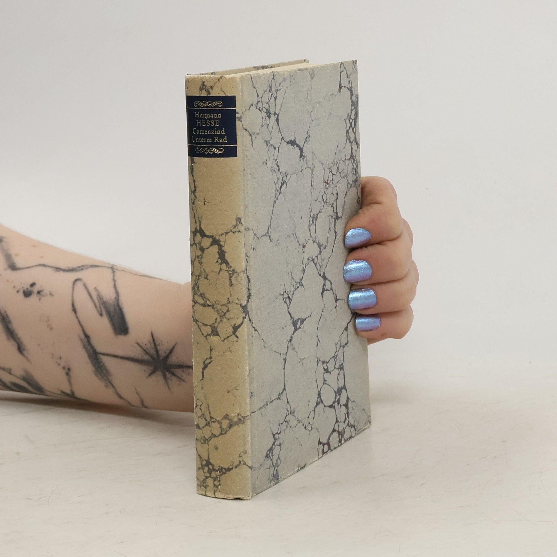 Hermann Hesse Camenzind Unterm Rad
