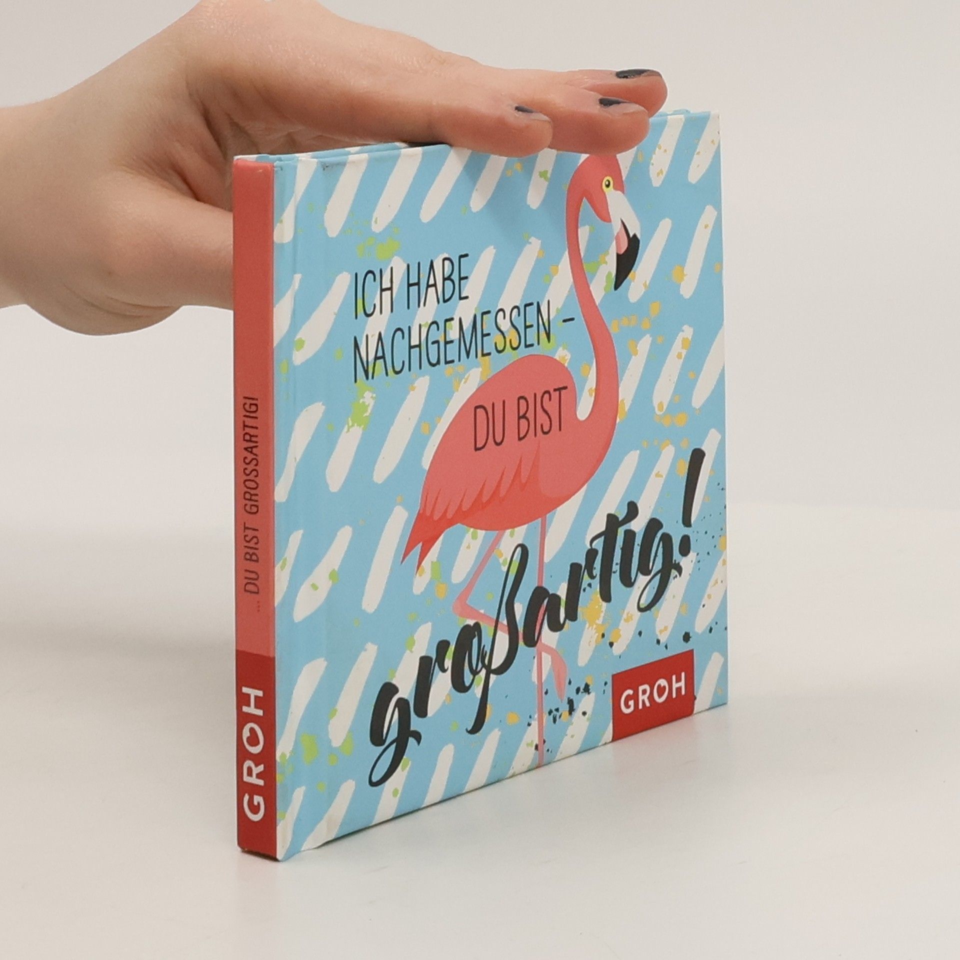 Joachim Groh Ich habe nachgemessen - du bist großartig!