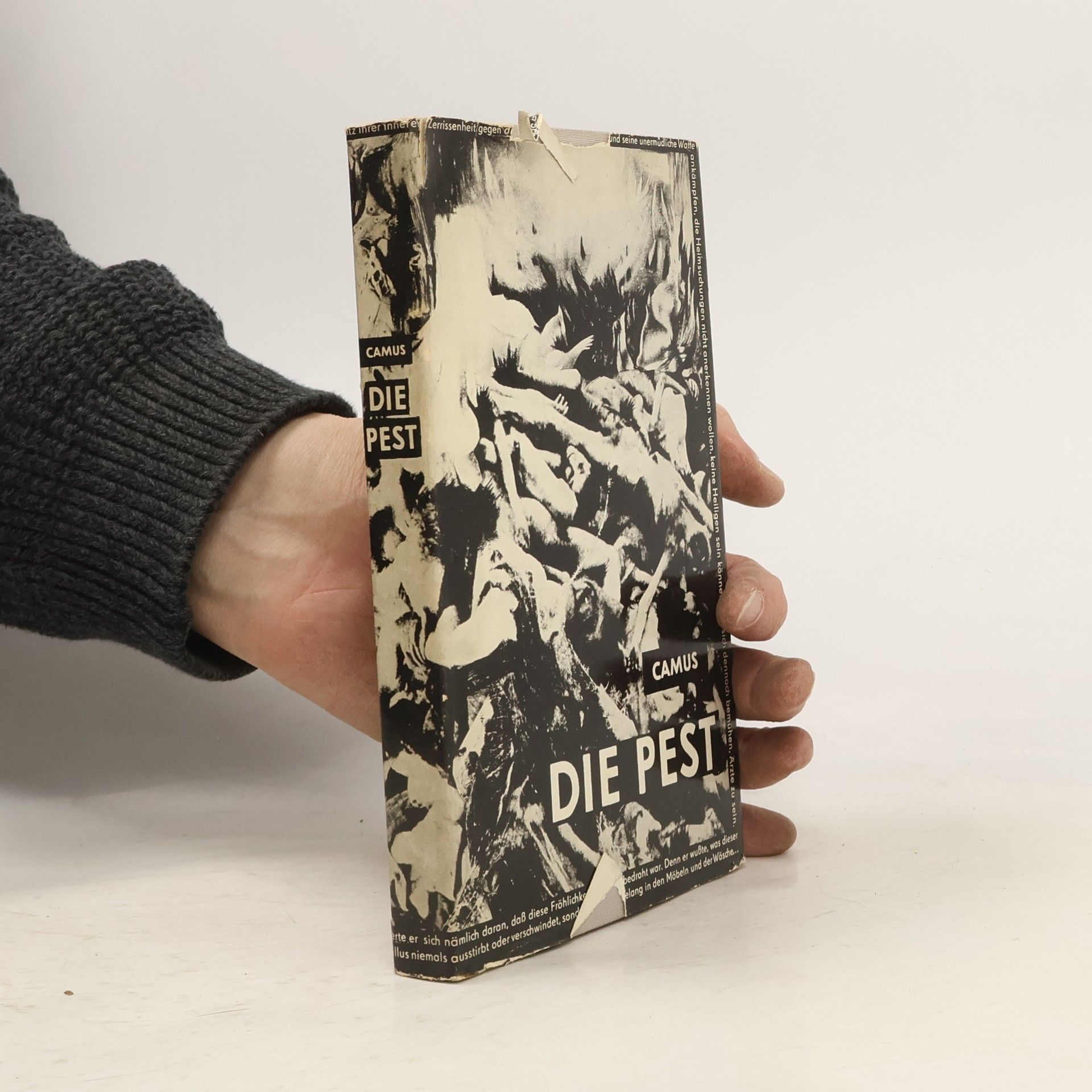 Albert Camus Die Pest