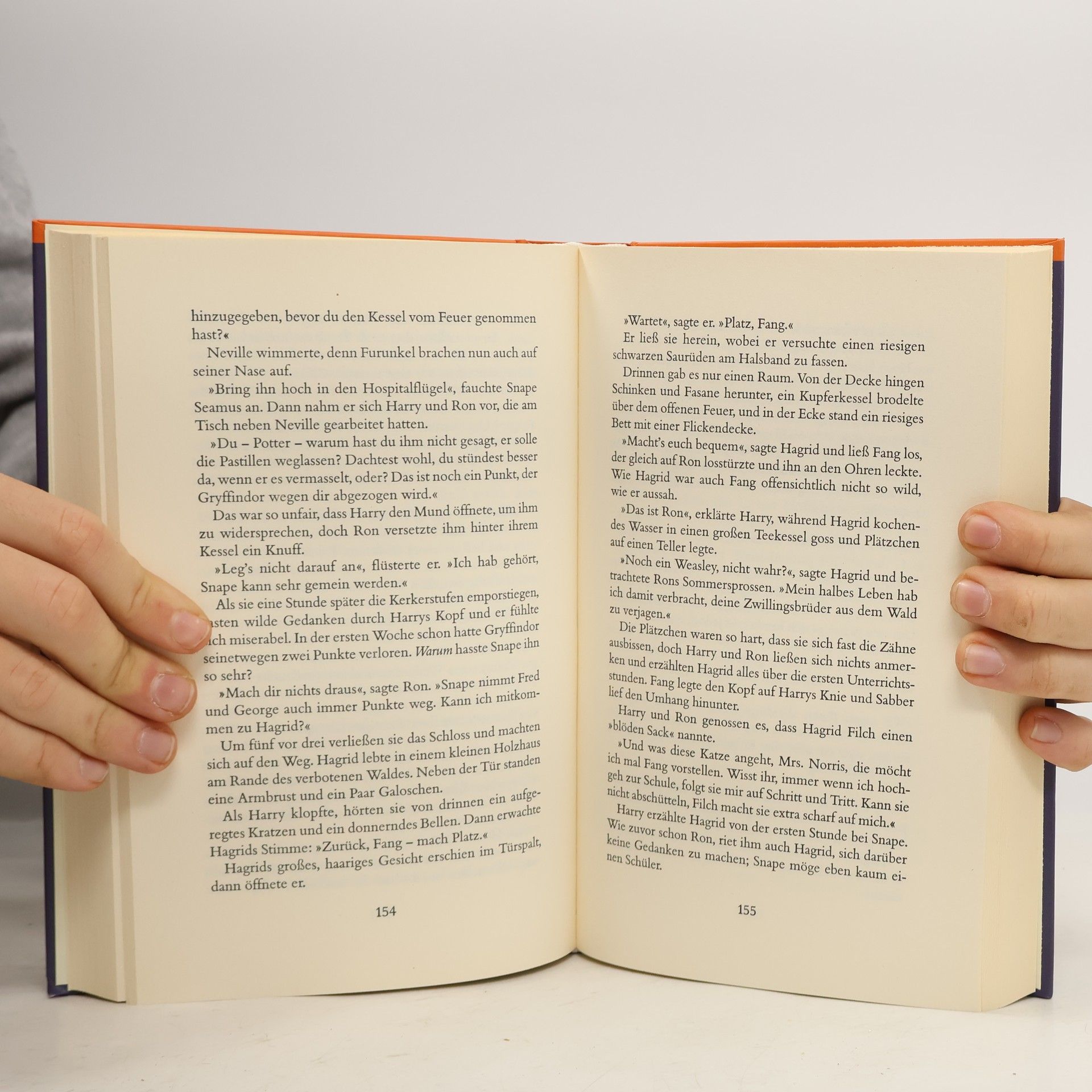 J. K. Rowling Harry Potter und der Stein der Weisen