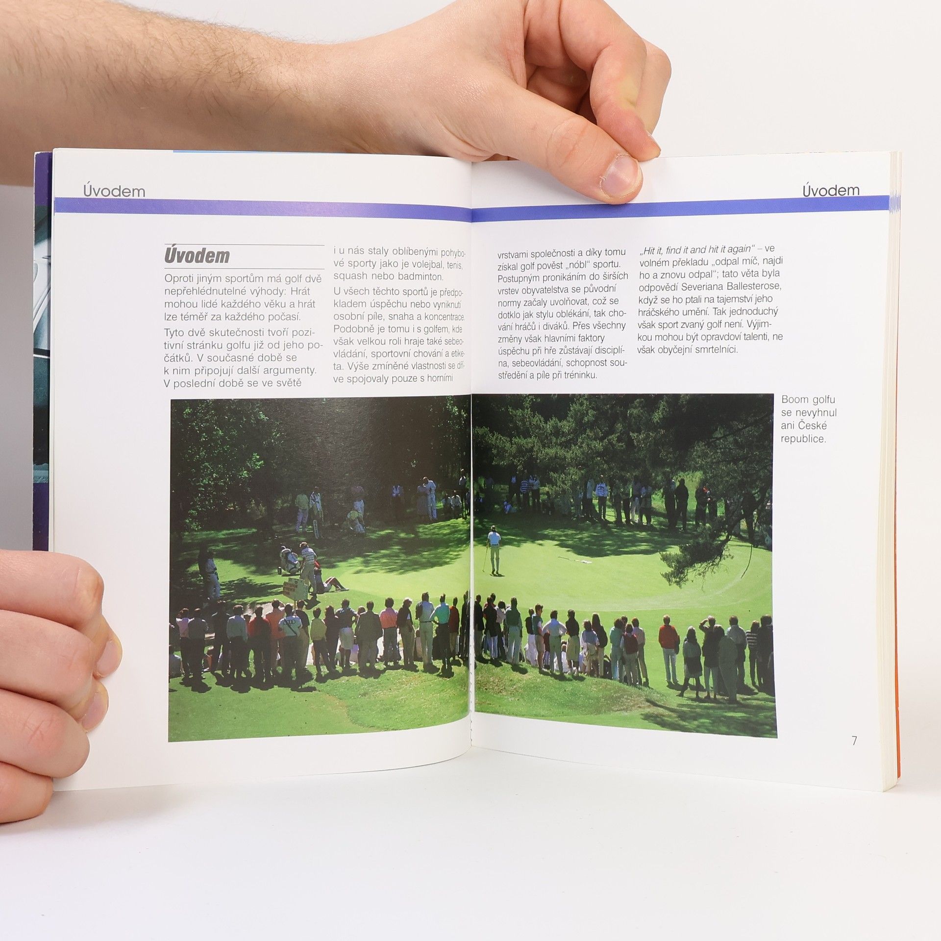 John Bradley Hrajeme golf. Technika, taktika, psychologie