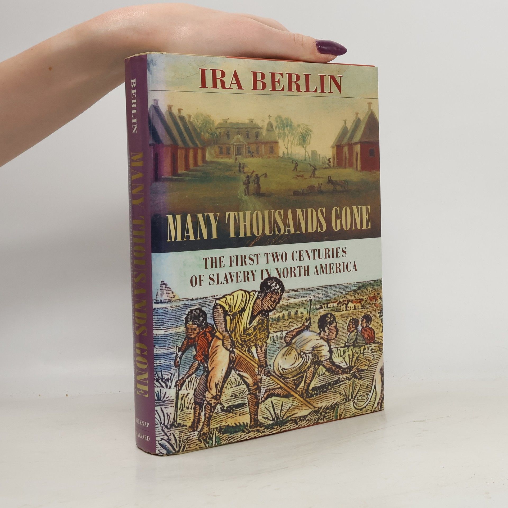 Ira Berlin Many Thousands Gone