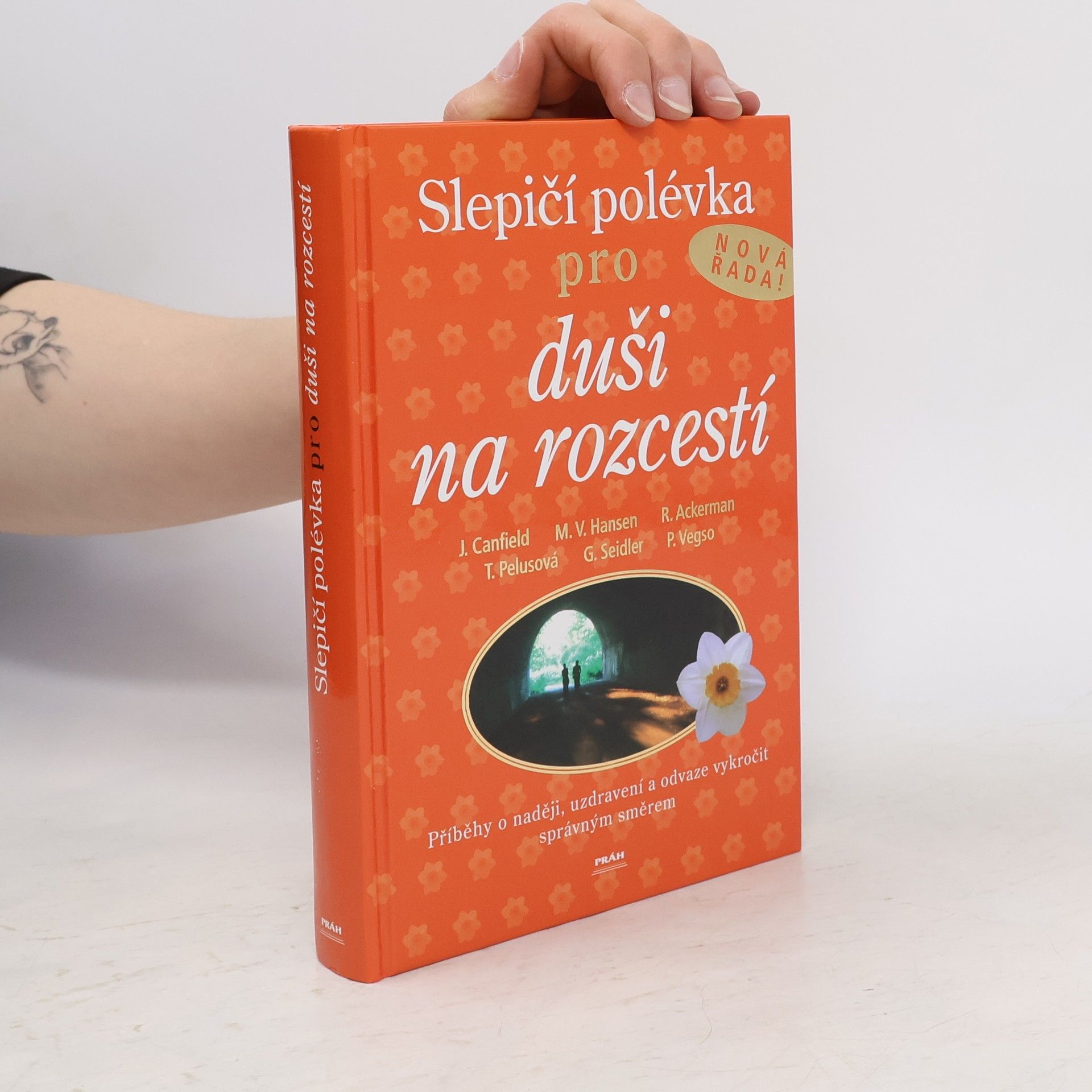 Jack Canfield Slepičí polévka pro duši na rozcestí