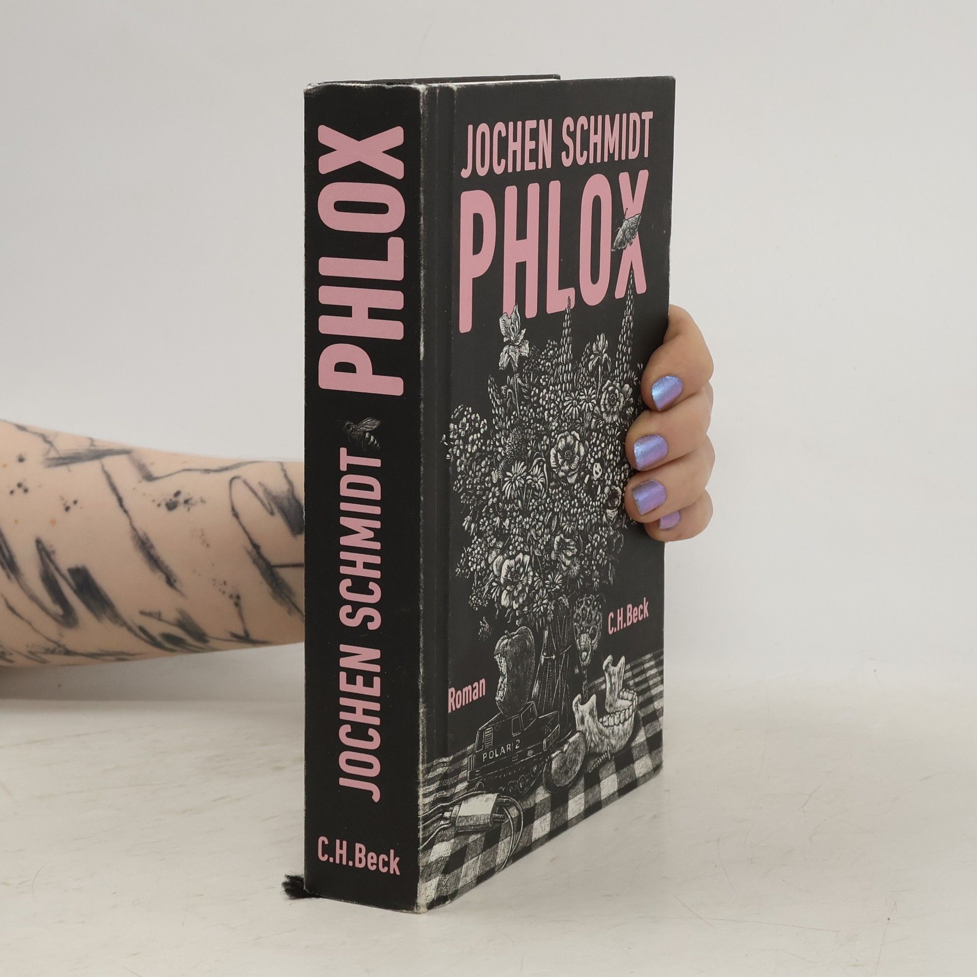 Phlox