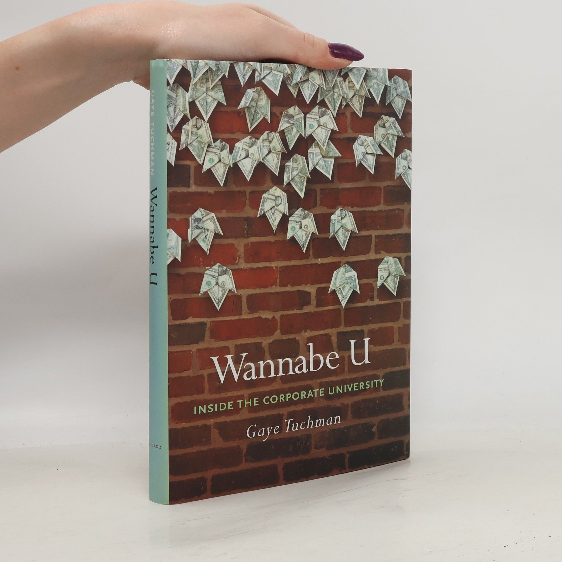 Gaye Tuchman Wannabe U