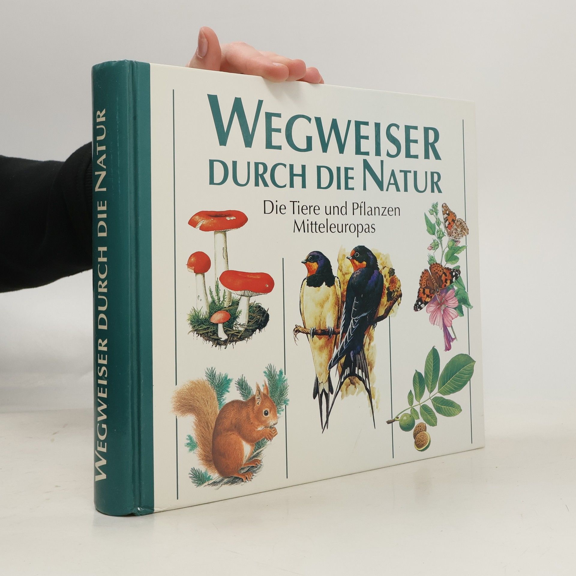 Autorenkollektiv Wegweiser durch die Natur