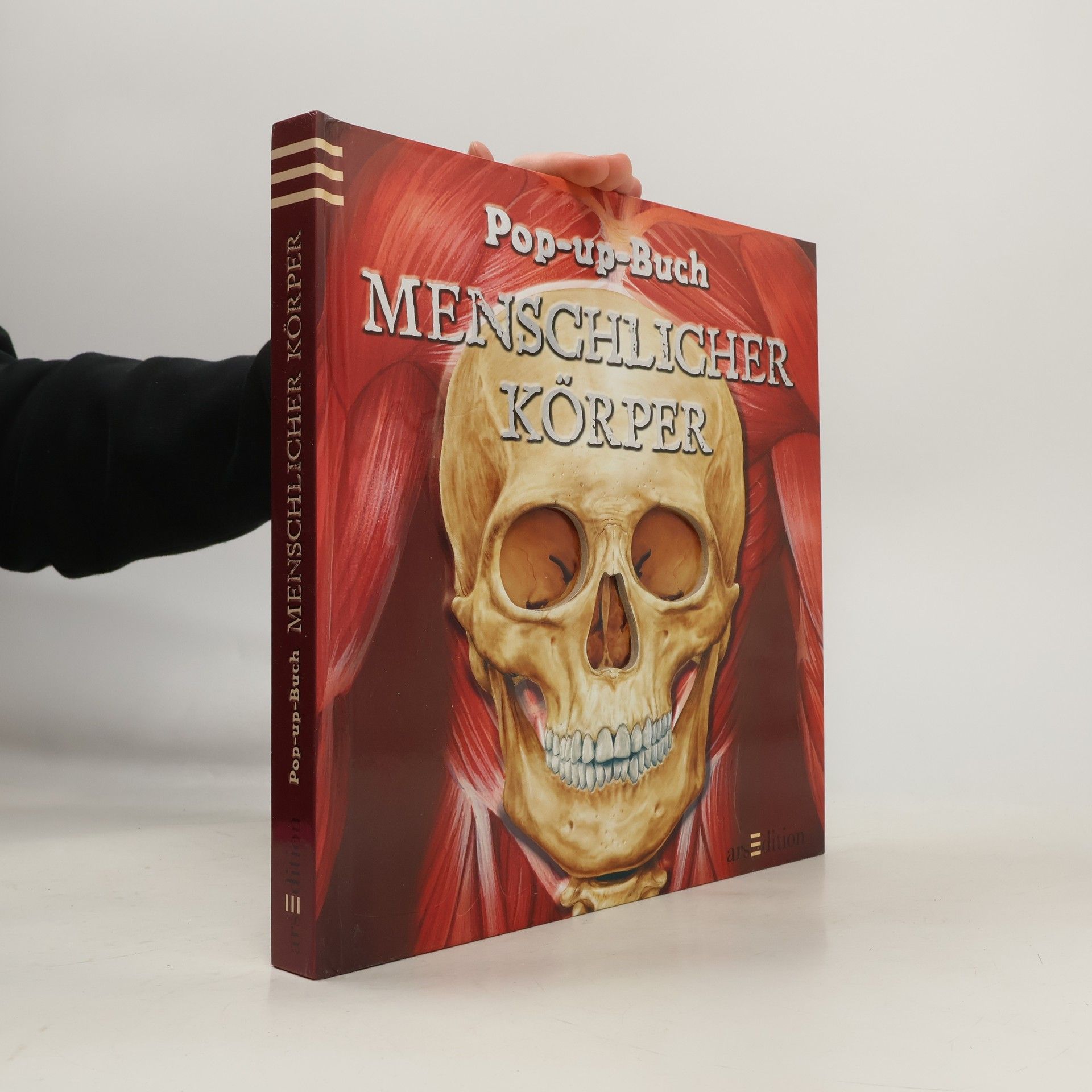 Emily Hawkins Menschlicher Körper - Pop-up-Buch