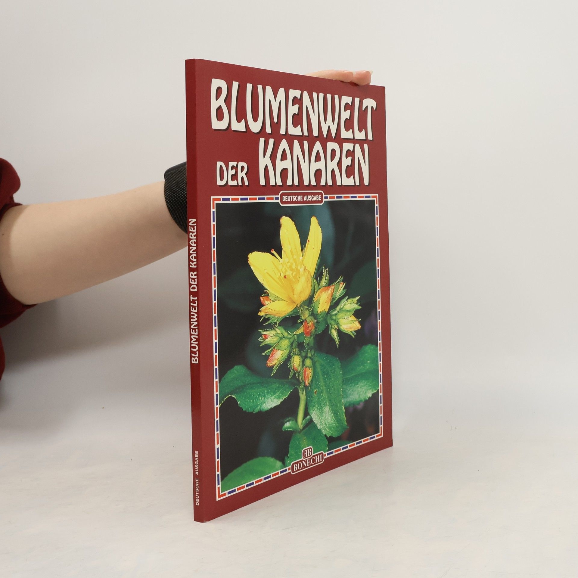Kolektiv autorů Blumenwelt der Kanaren