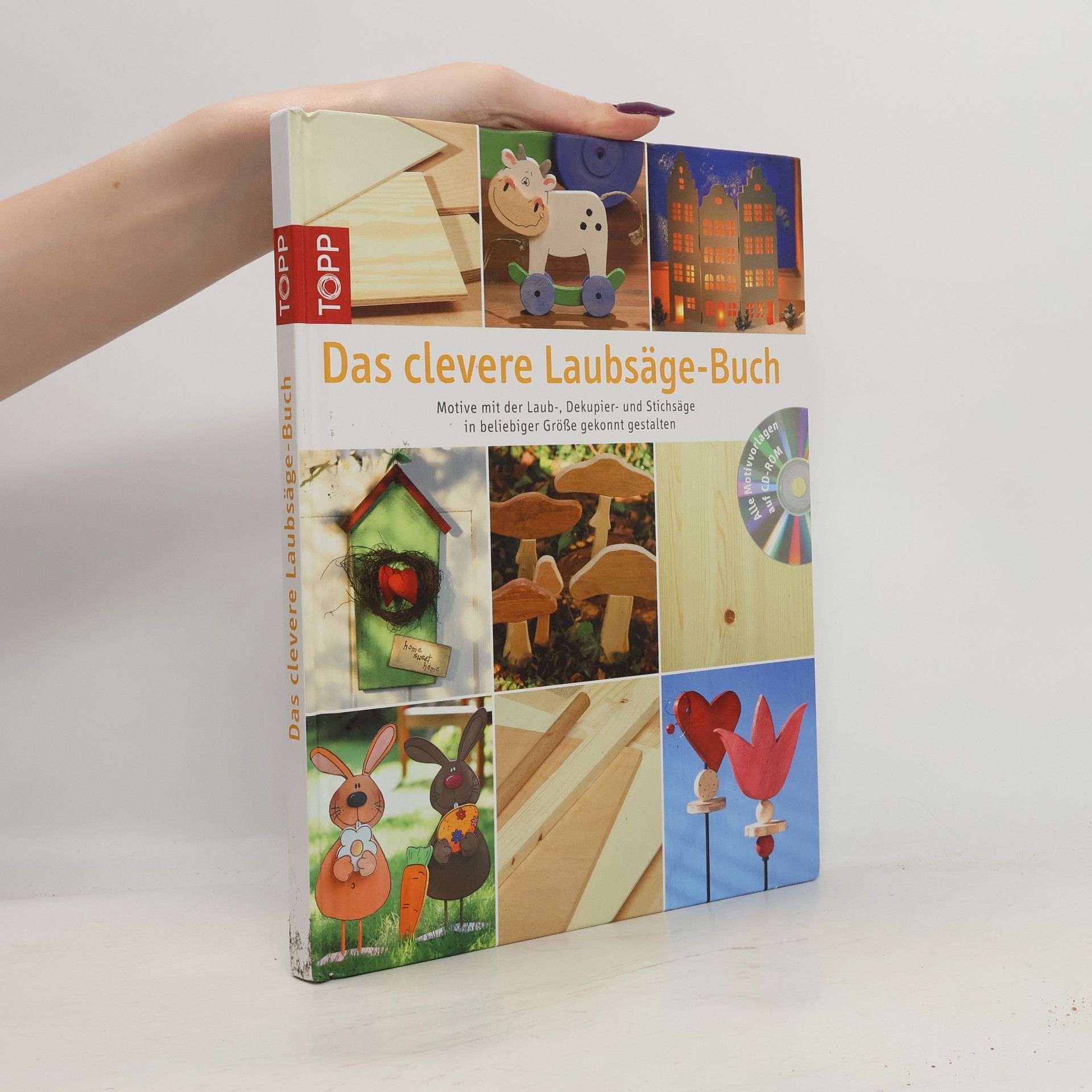 Kolektiv autorů Das clevere Laubsäge-Buch