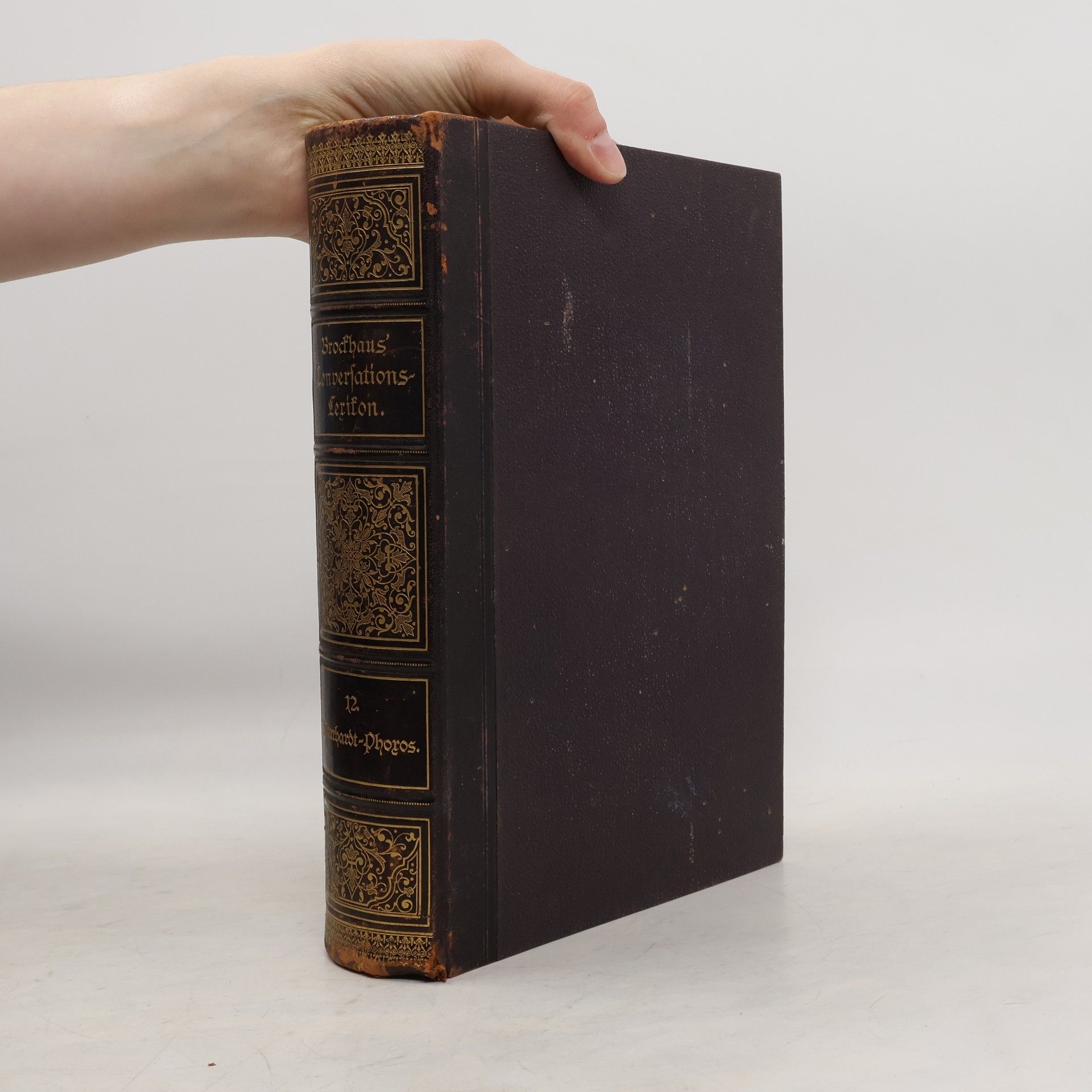 Various authors Brockhaus' Konversations-Lexikon XII.