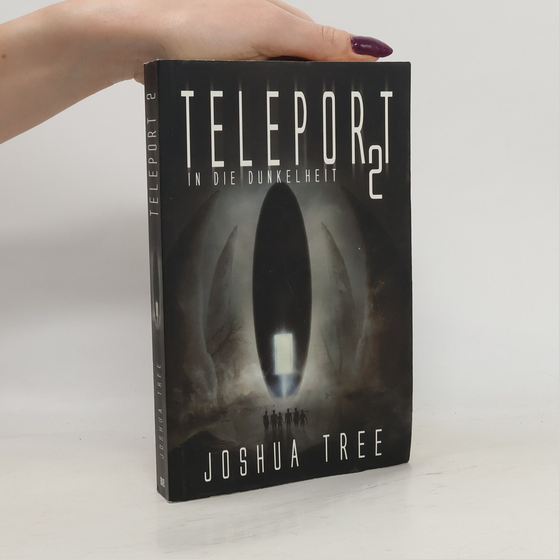 Joshua Tree Teleport 2