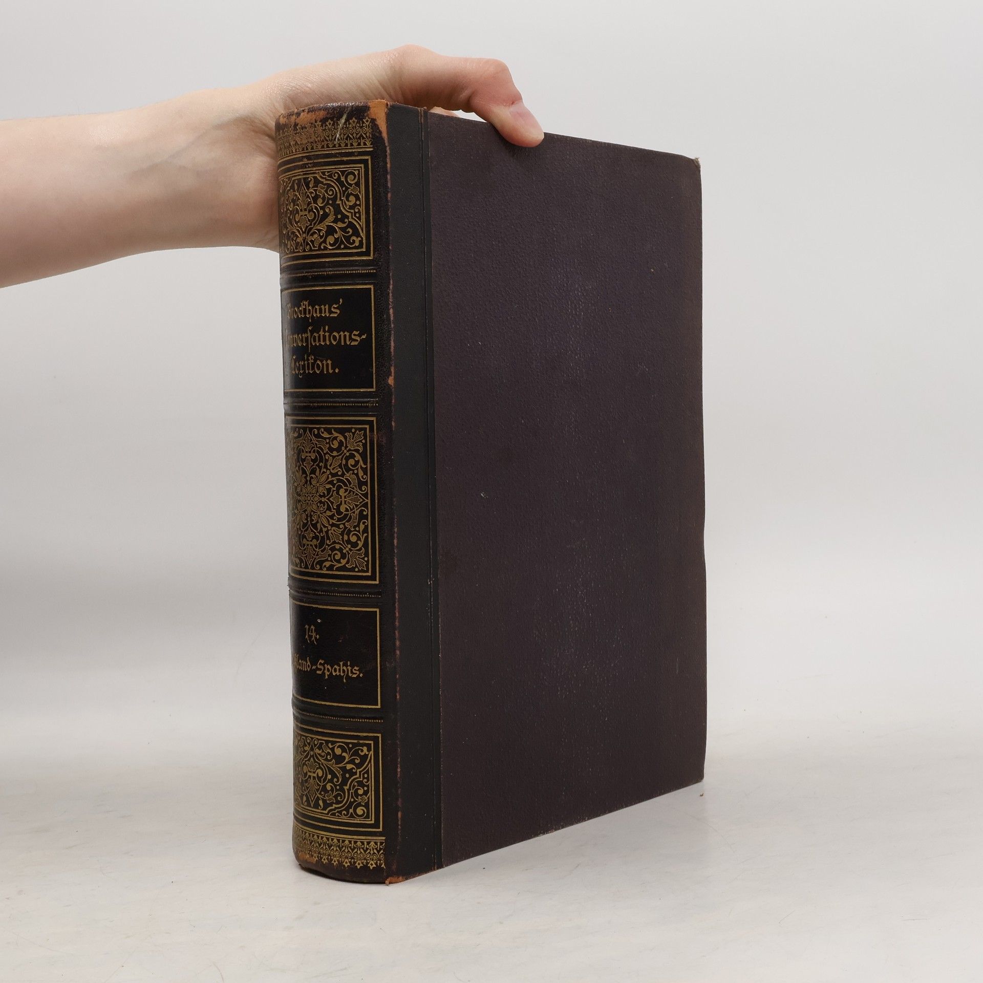 Various authors Brockhaus' Konversations-Lexikon XIV.