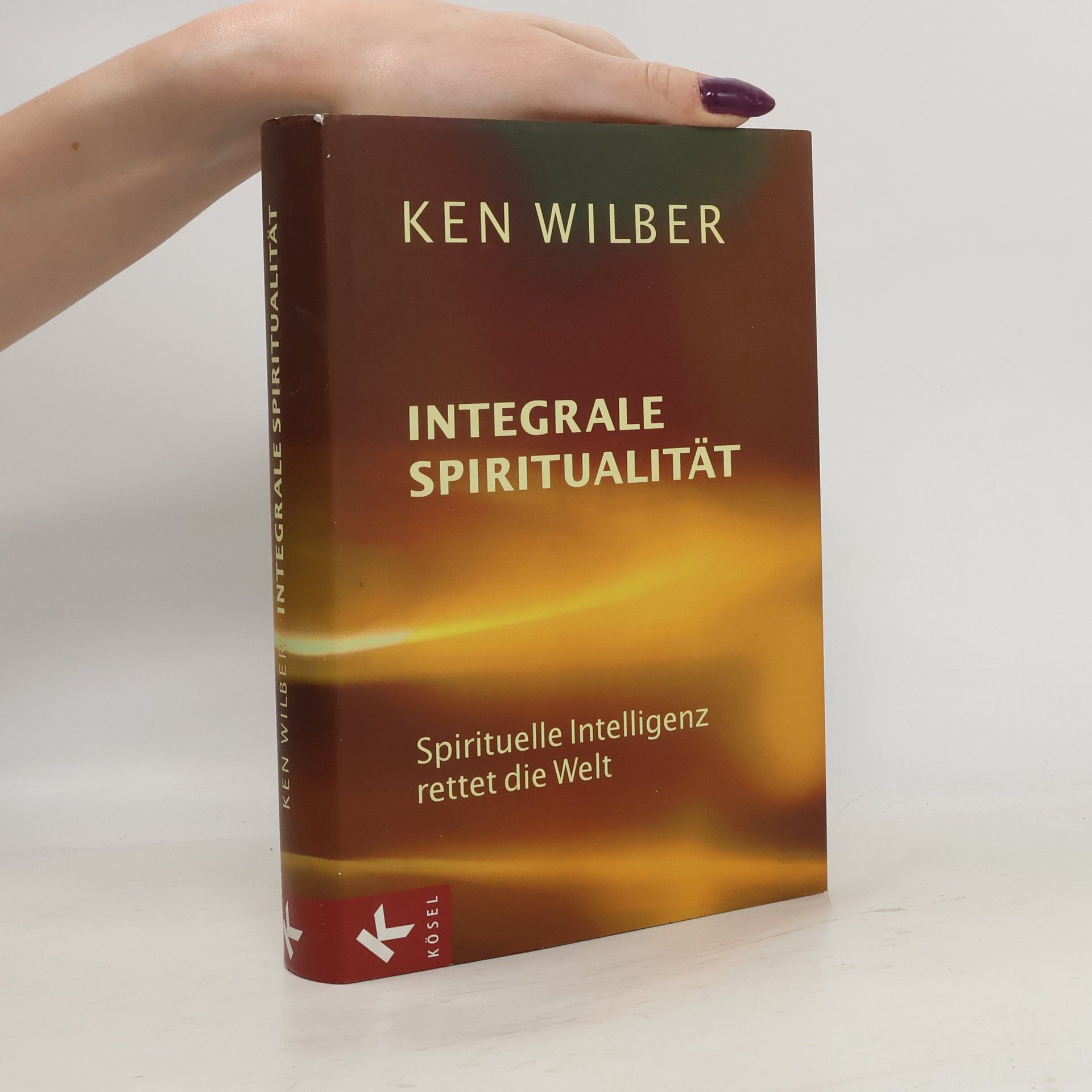 Ken Wilber Integrale Spiritualität