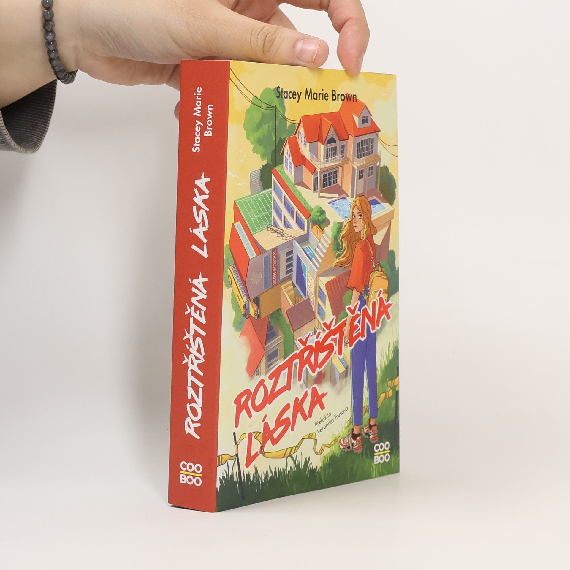 Stacey Marie Brown Roztříštěná láska