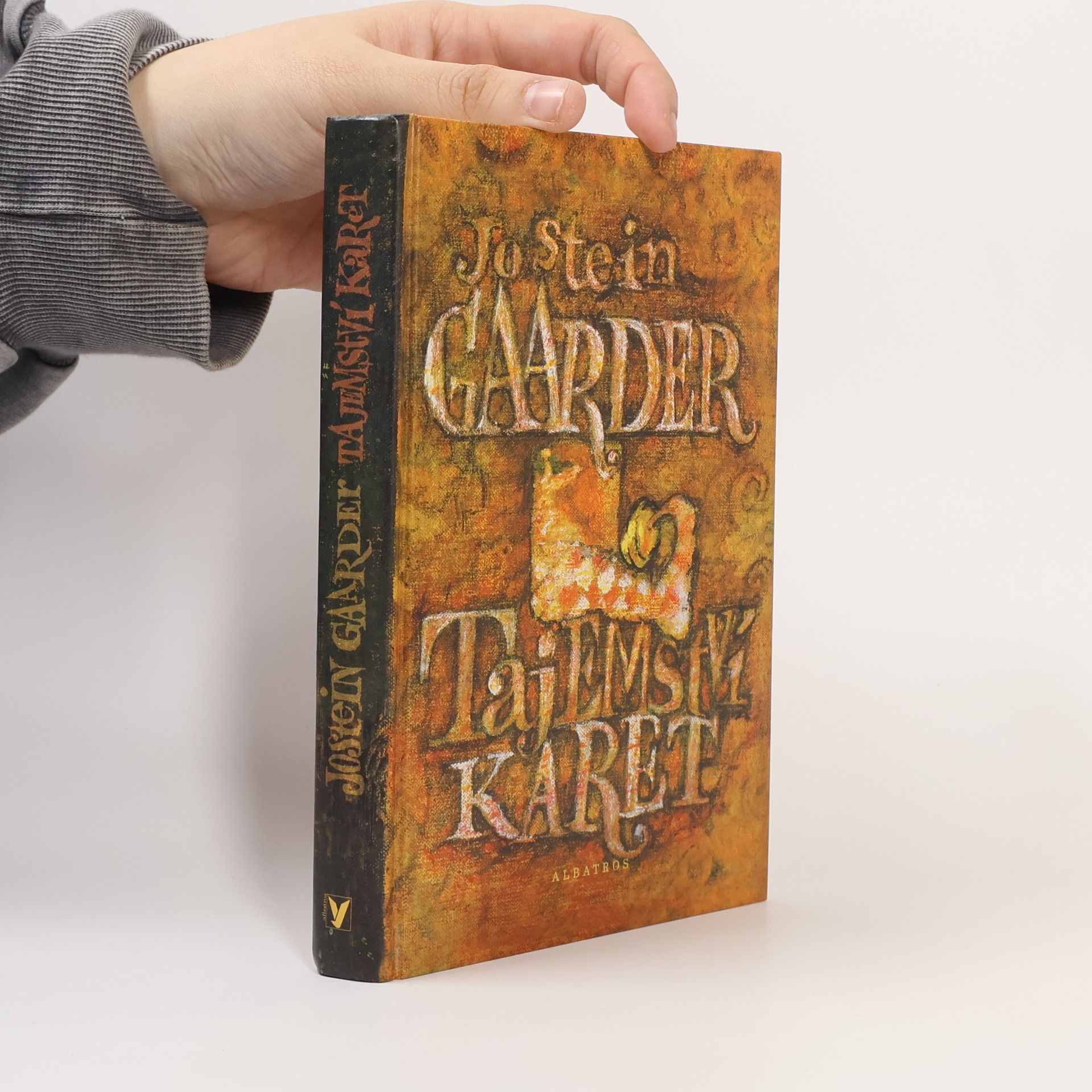 Jostein Gaarder Tajemství karet