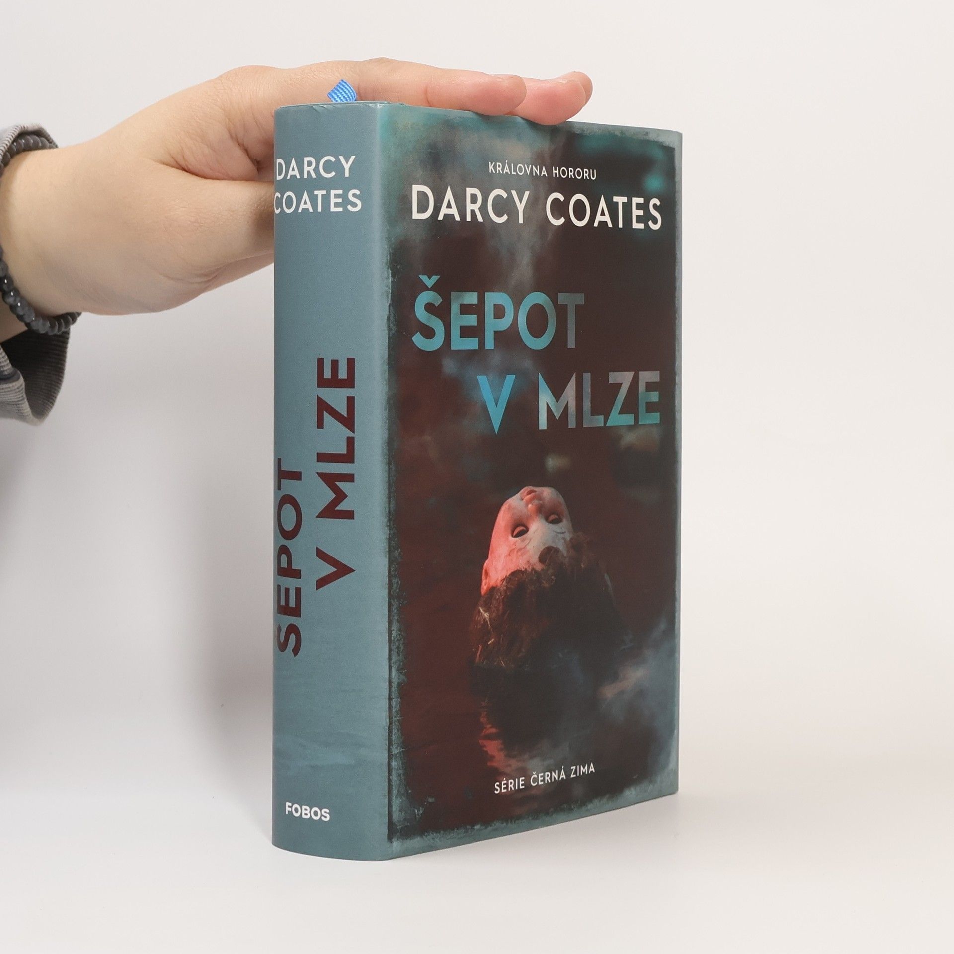 Darcy Coates Šepot v mlze