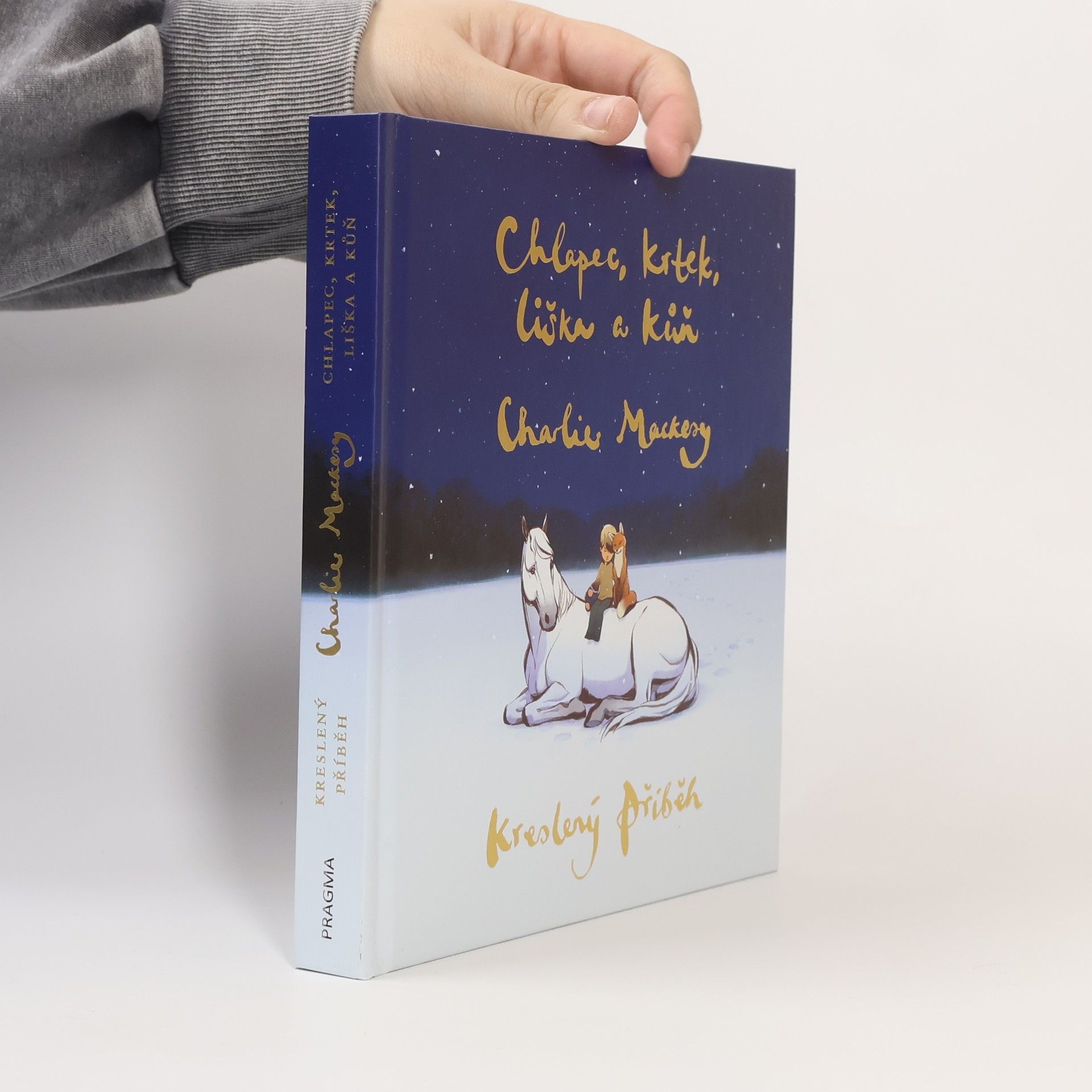 Charlie Mackesy Chlapec, krtek, liška a kůň : kreslený příběh