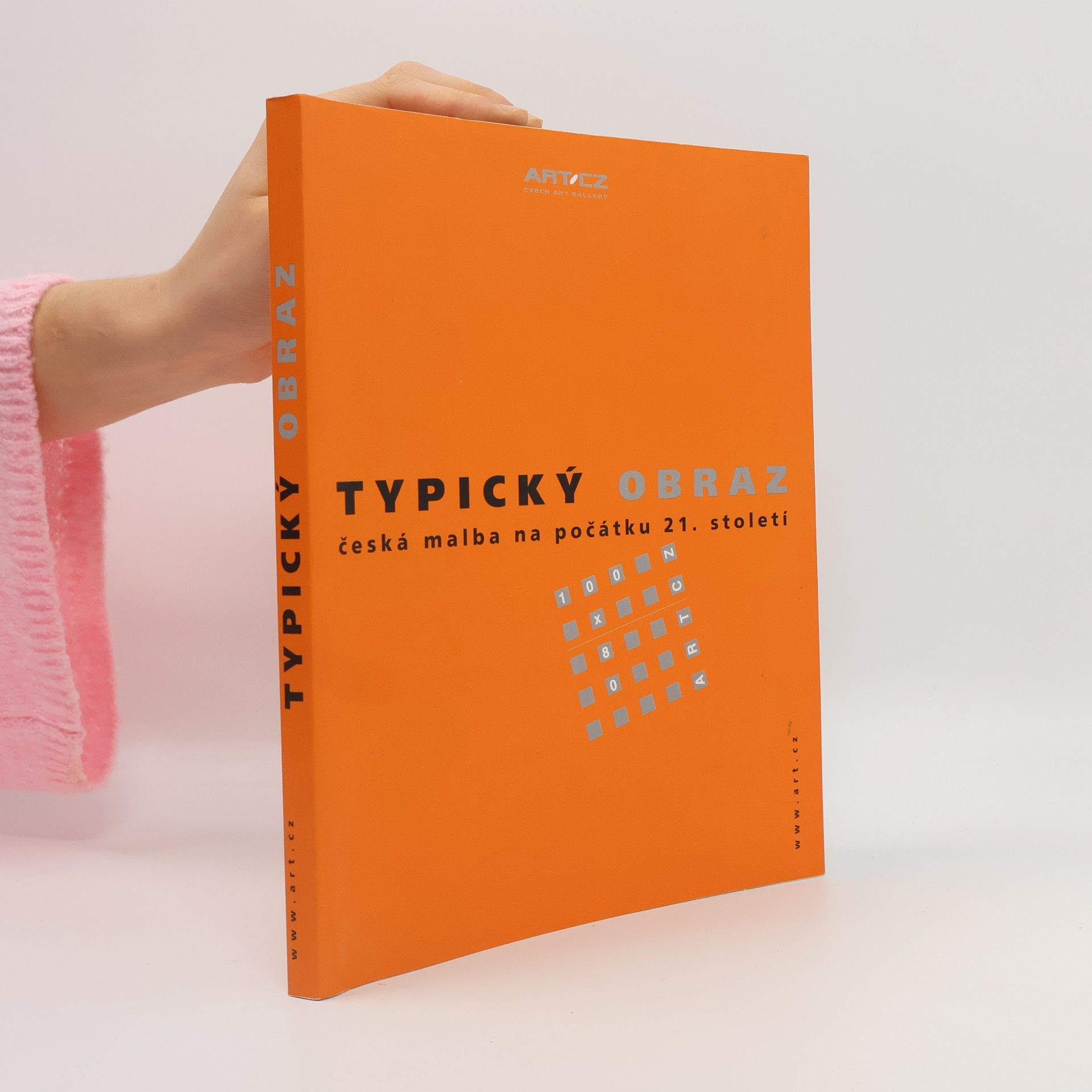 Collectif d'auteurs Typický obraz. Česká malba na počátku 21. století