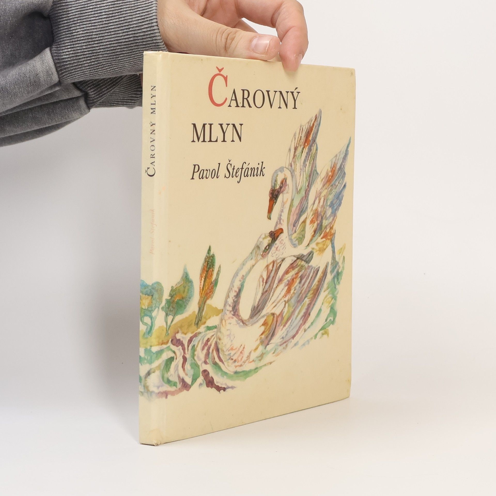 Pavol Štefánik Čarovný mlyn