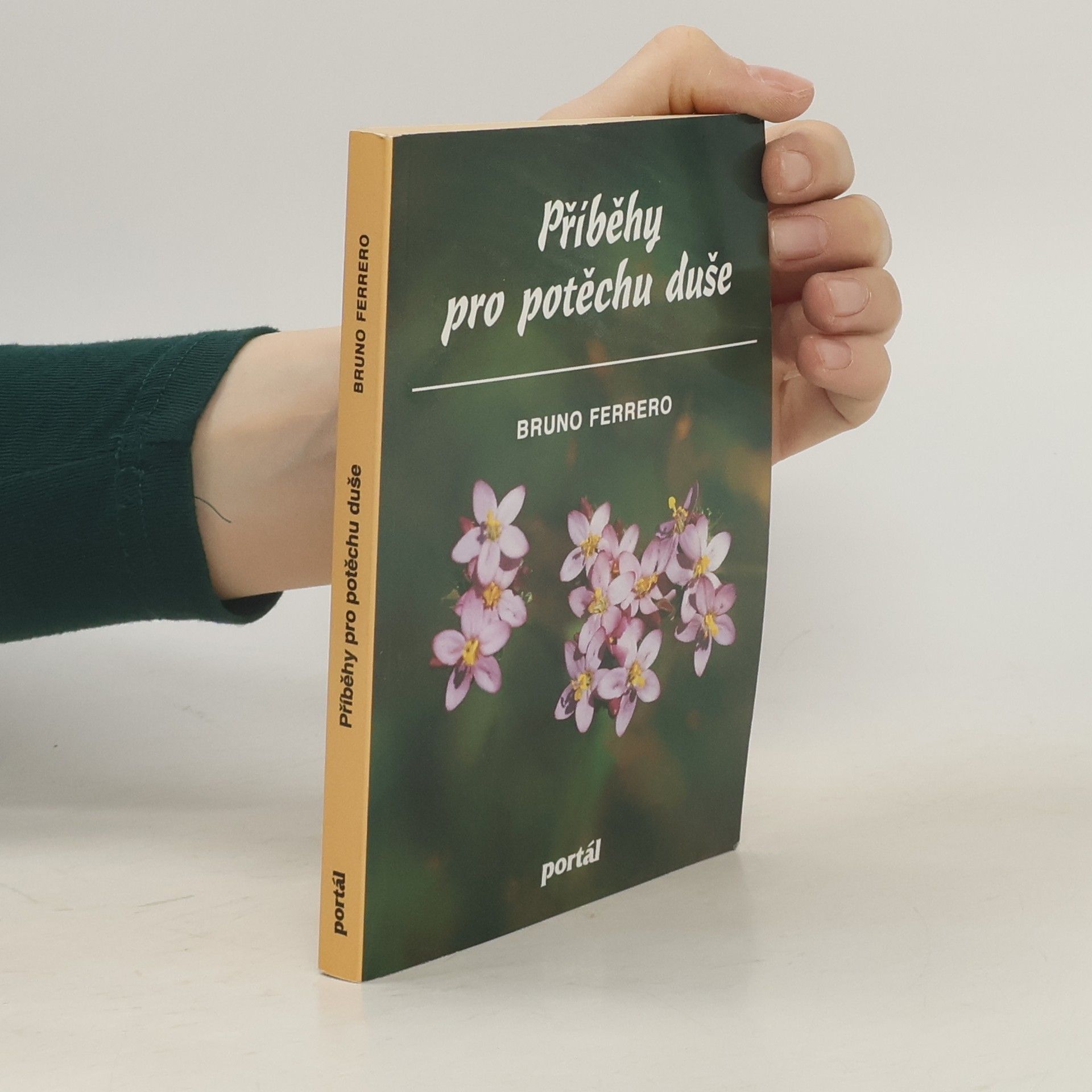 Bruno Ferrero Příběhy pro potěchu duše