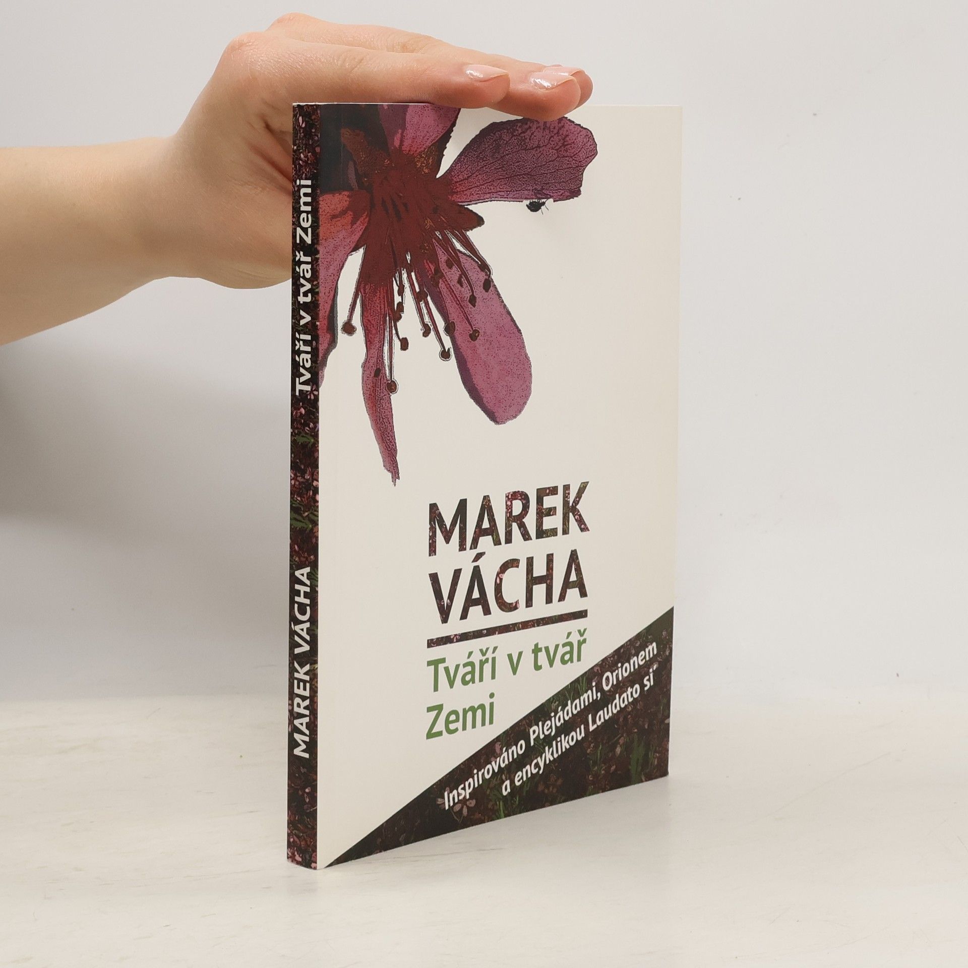 Marek Orko Vácha Tváří v tvář Zemi