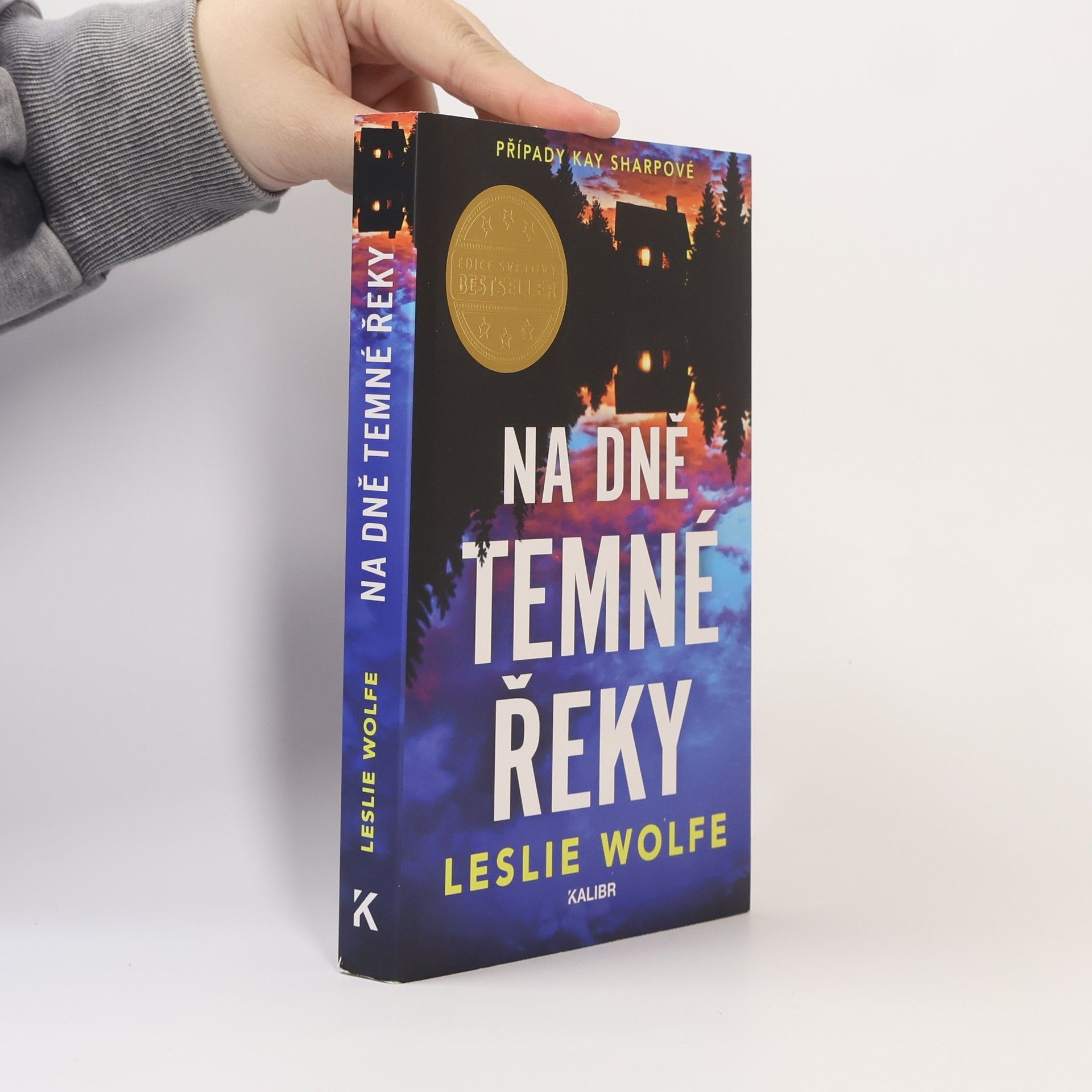 Leslie Wolfe Na dně Temné řeky