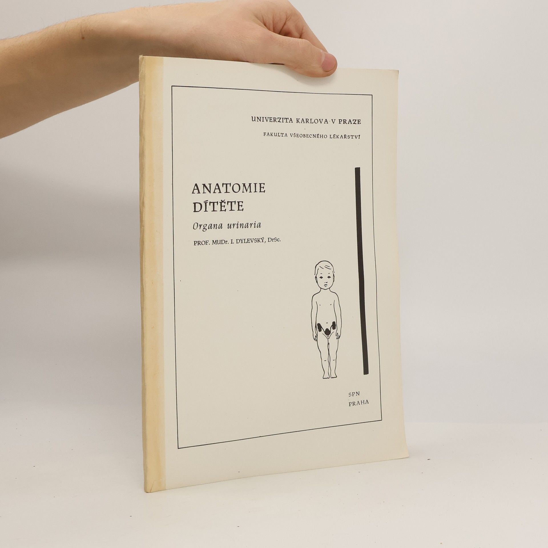 Ivan Dylevský Anatomie dítěte. Organa urinaria