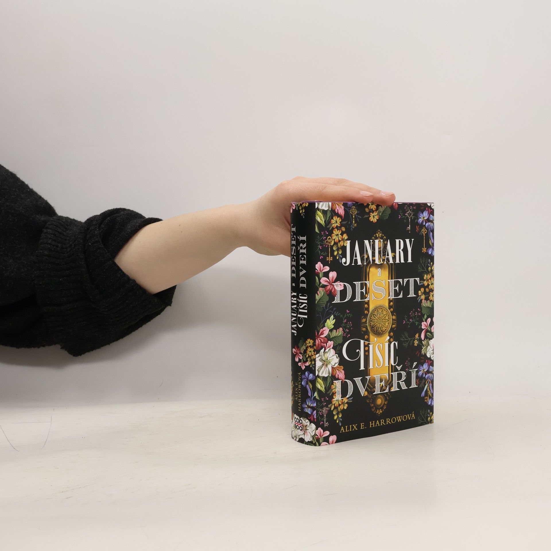 January a Deset tisíc dveří