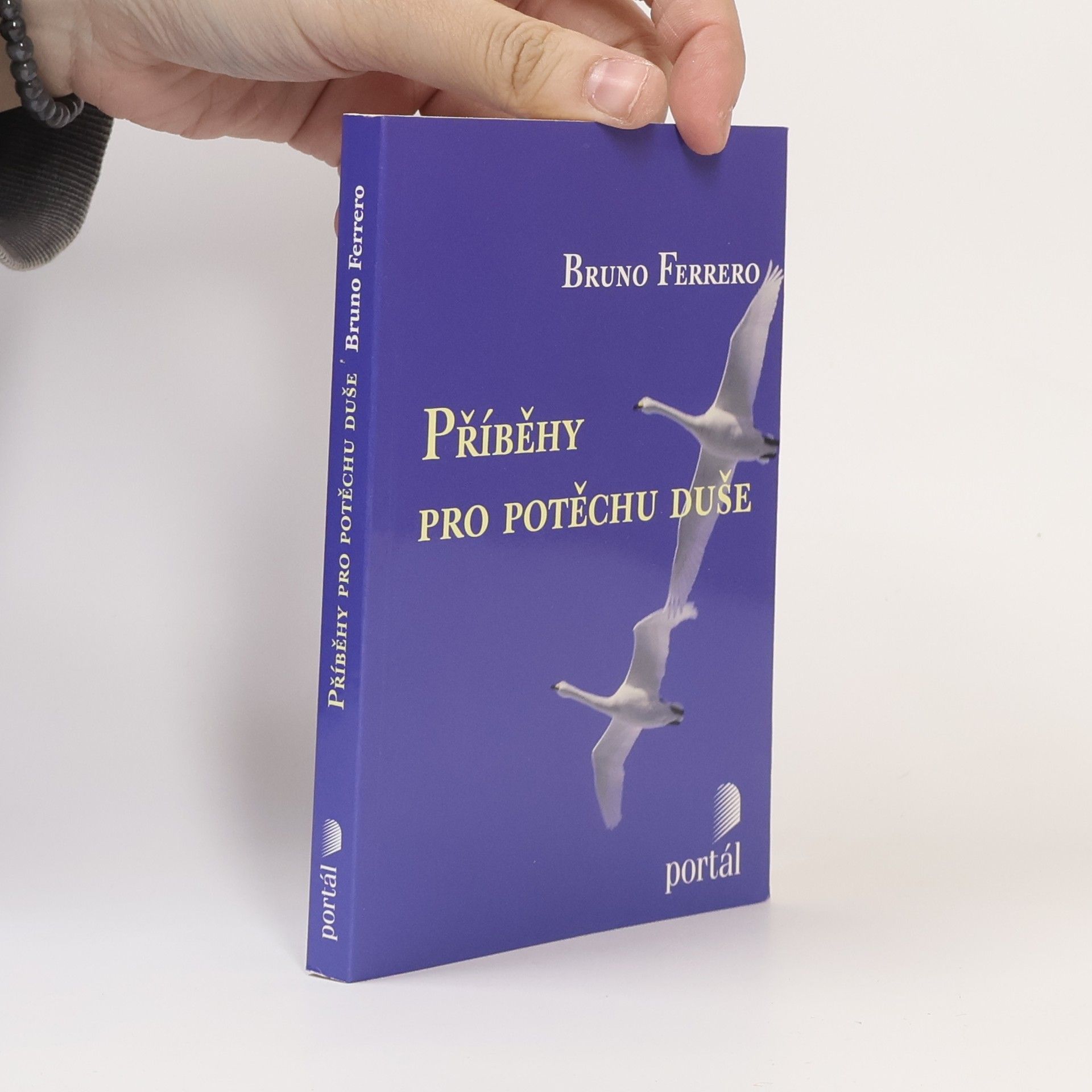 Bruno Ferrero Příběhy pro potěchu duše