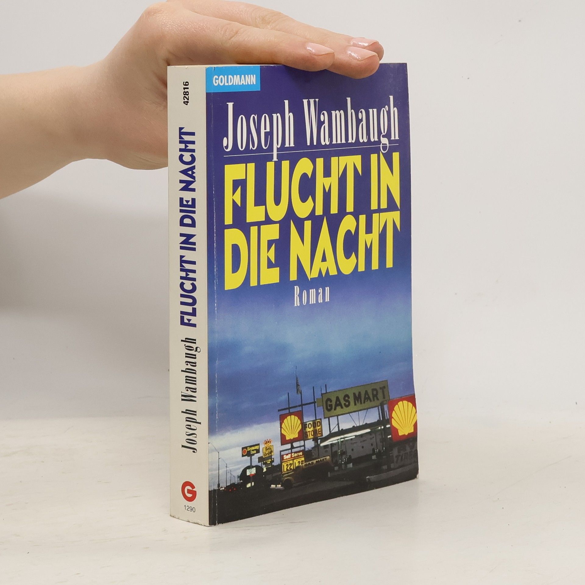 Joseph Wambaugh Flucht in die Nacht.