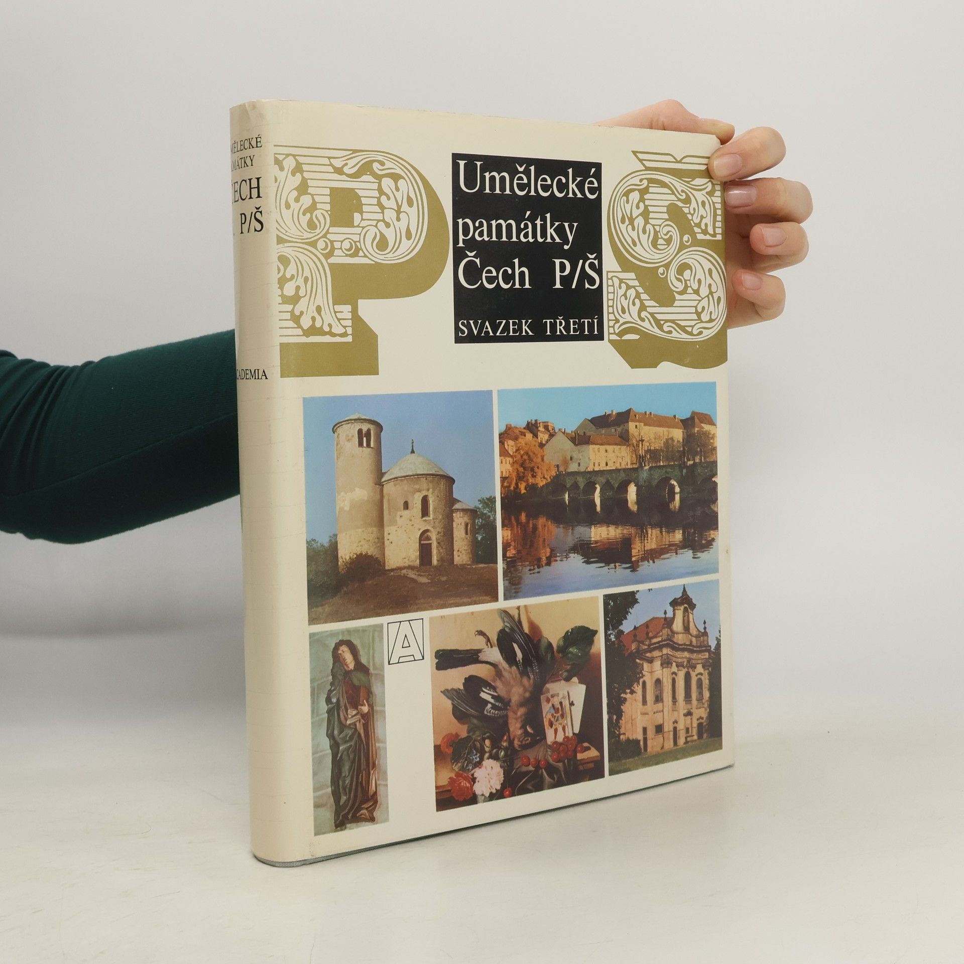 Kolektiv autorů Umělecké památky Čech 3. P-Š