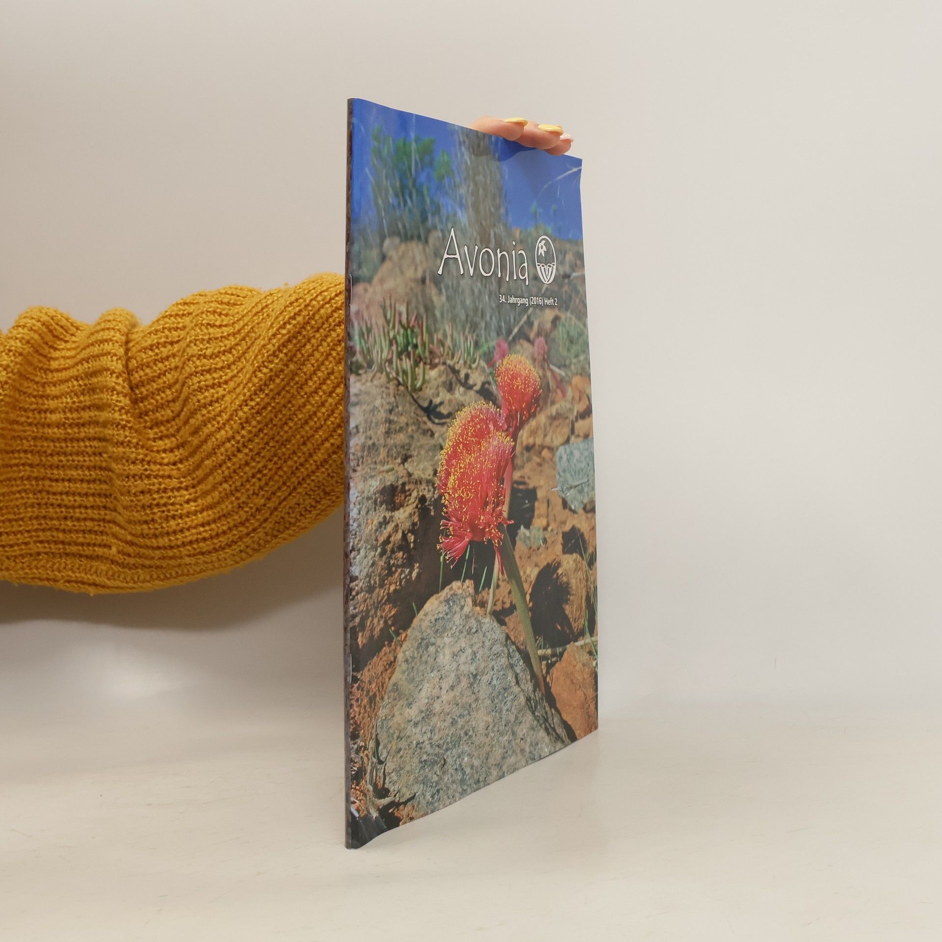 Autorenkollektiv Avonia 2