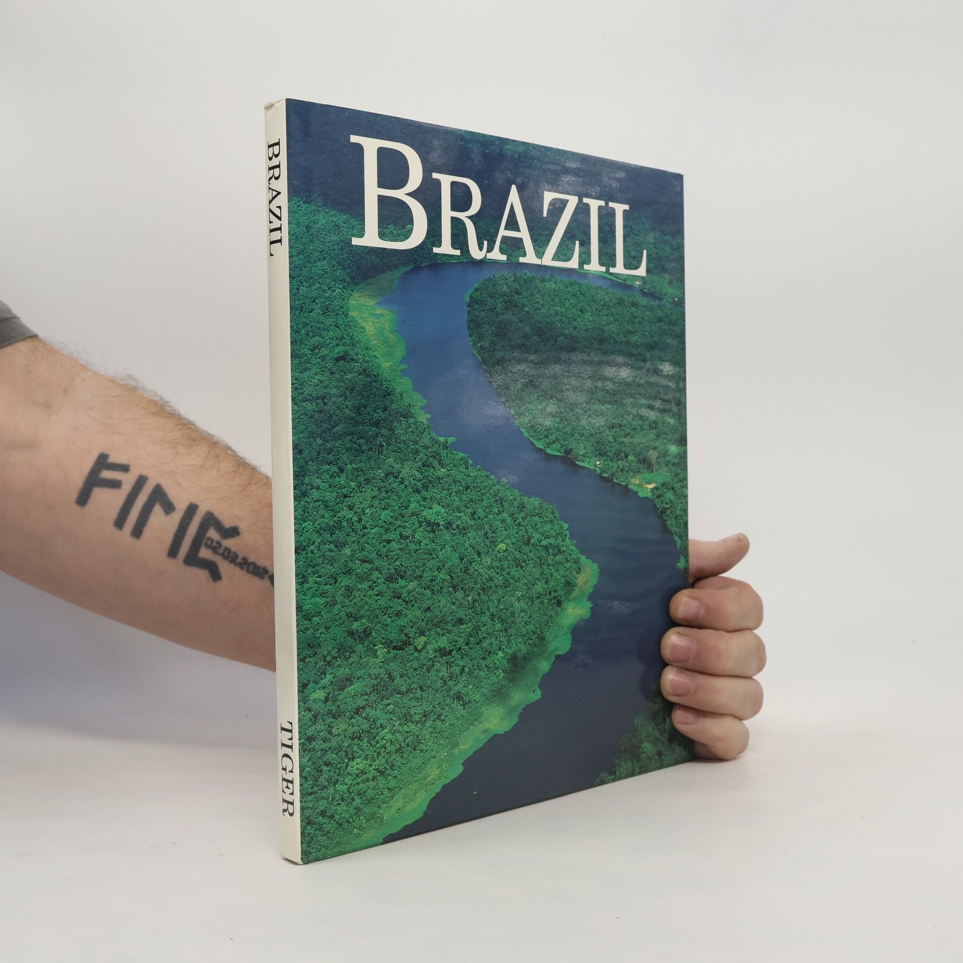 Alberto Taliani Brazil