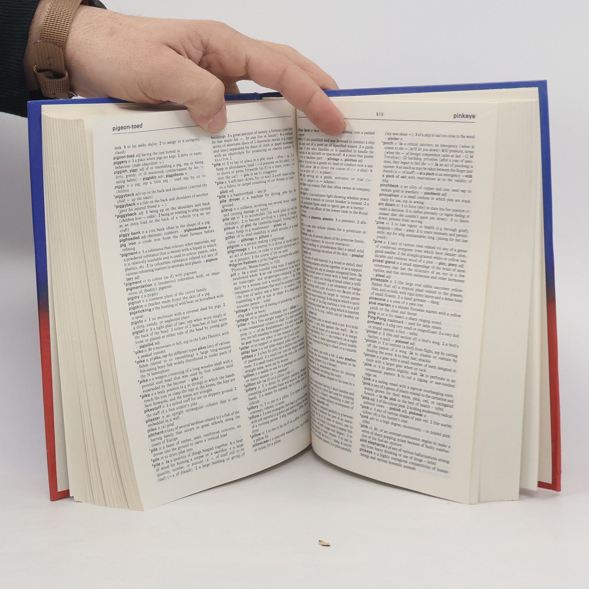 Kolektiv autorů Longman Family Dictionary