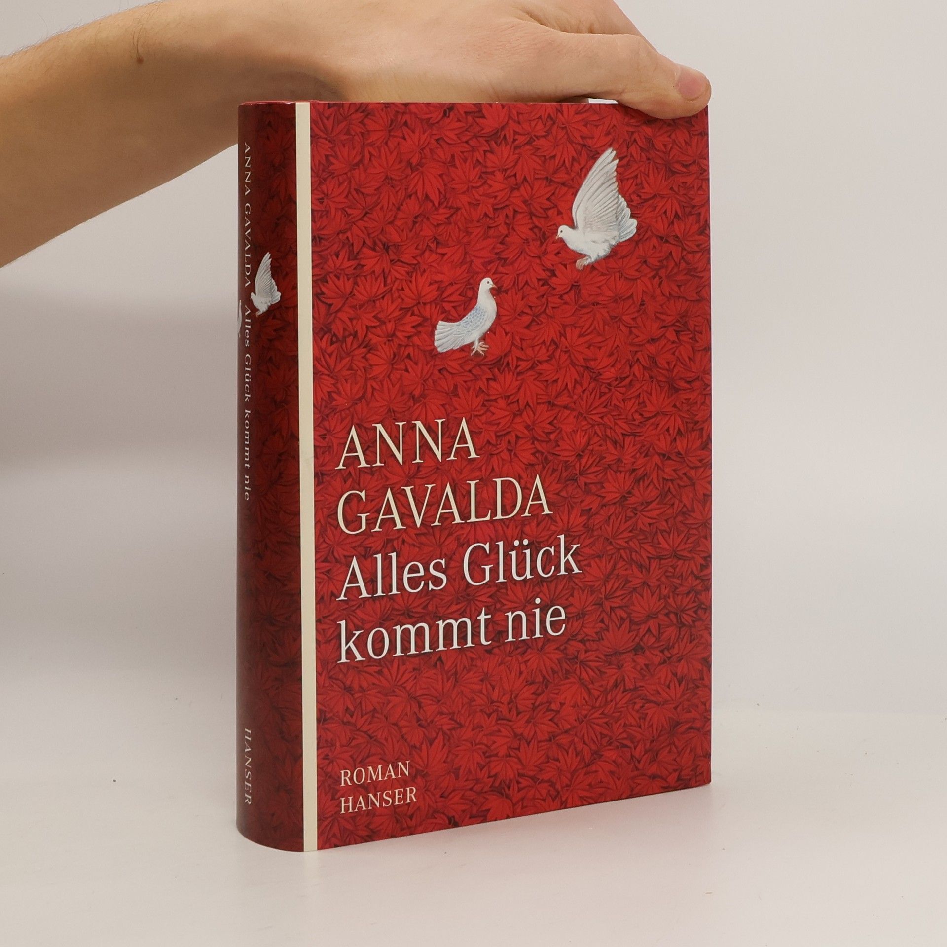 Anna Gavalda Alles Glück kommt nie