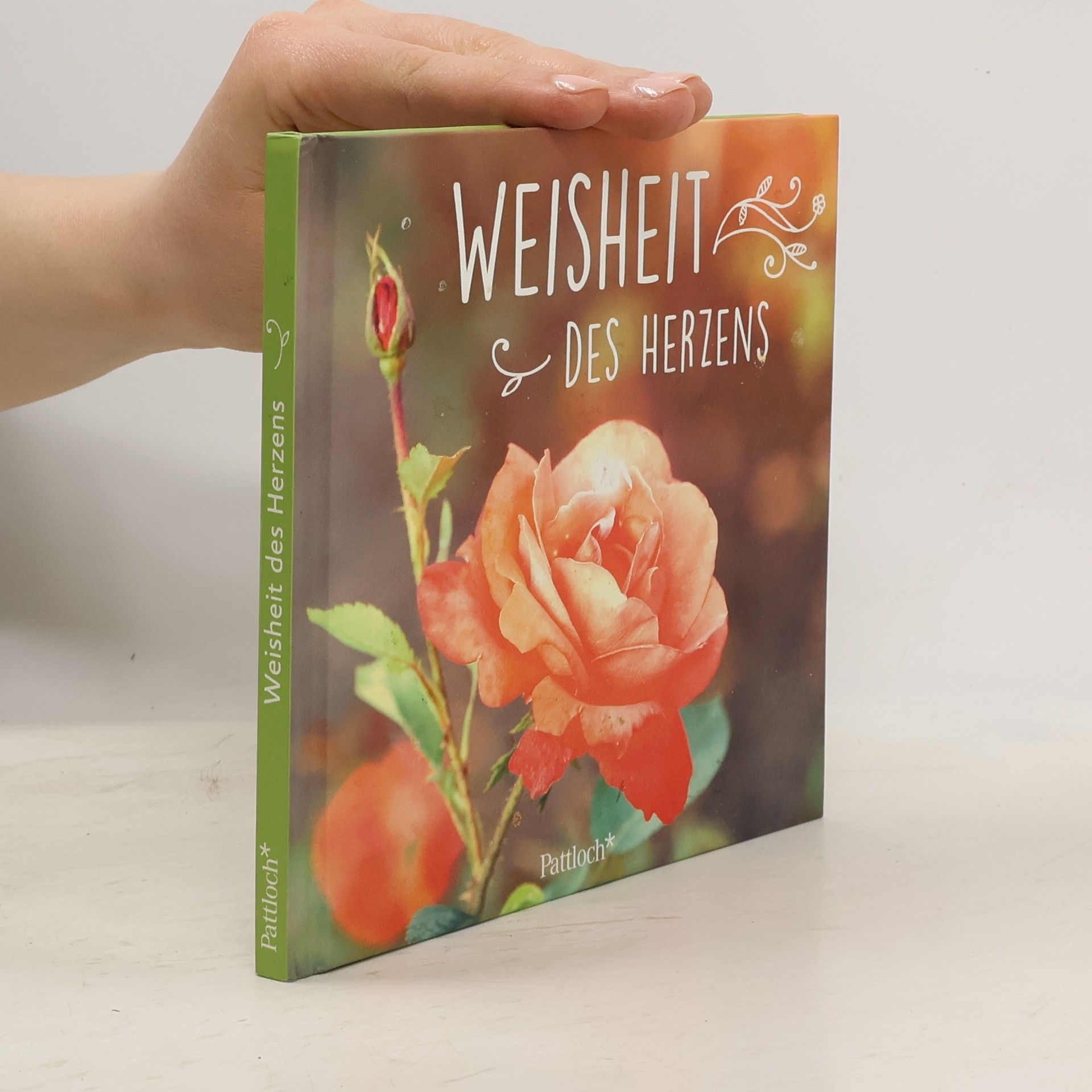 Michaela Schachtner Weisheit des Herzens