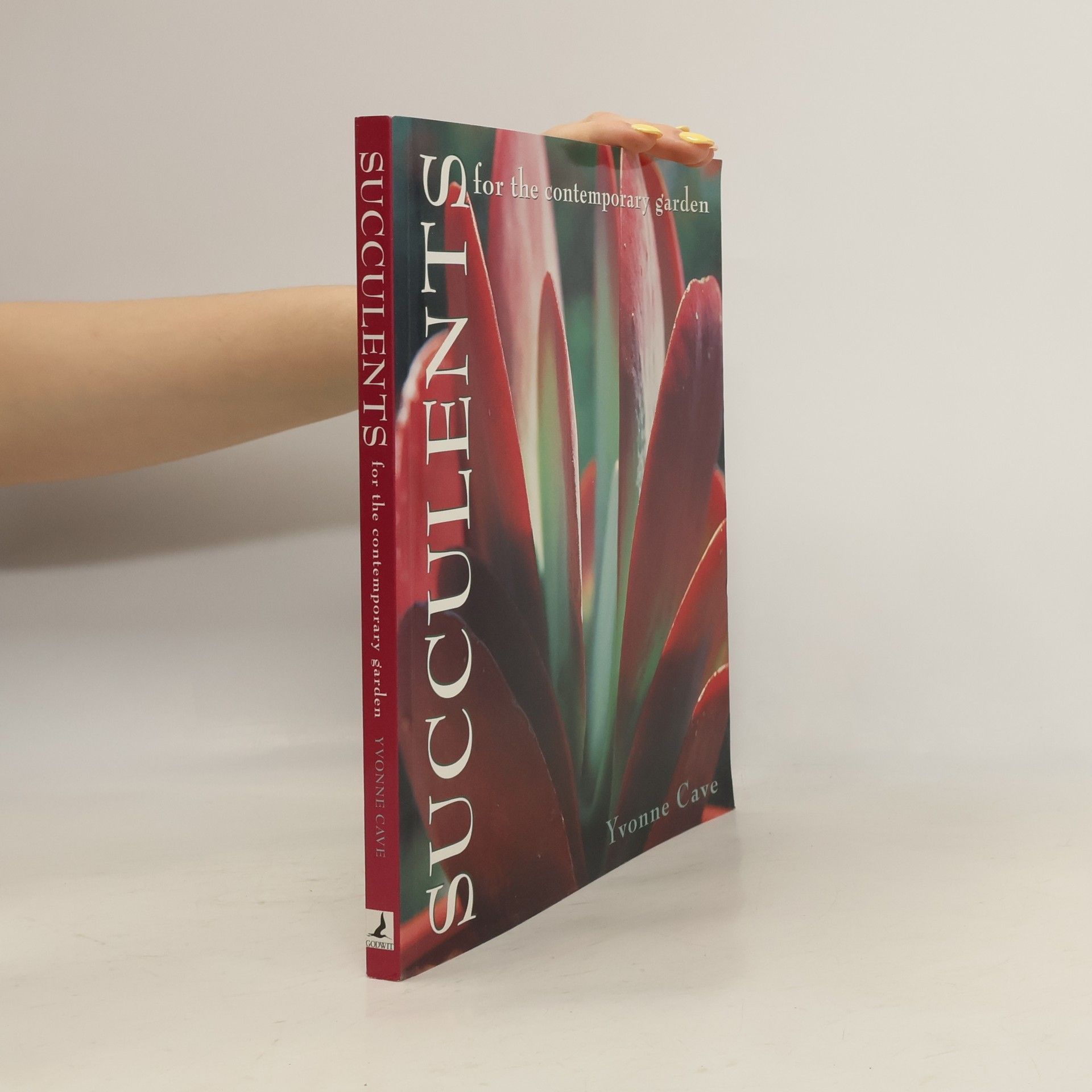 Yvonne Cave Succulents for the Contemporary Garden