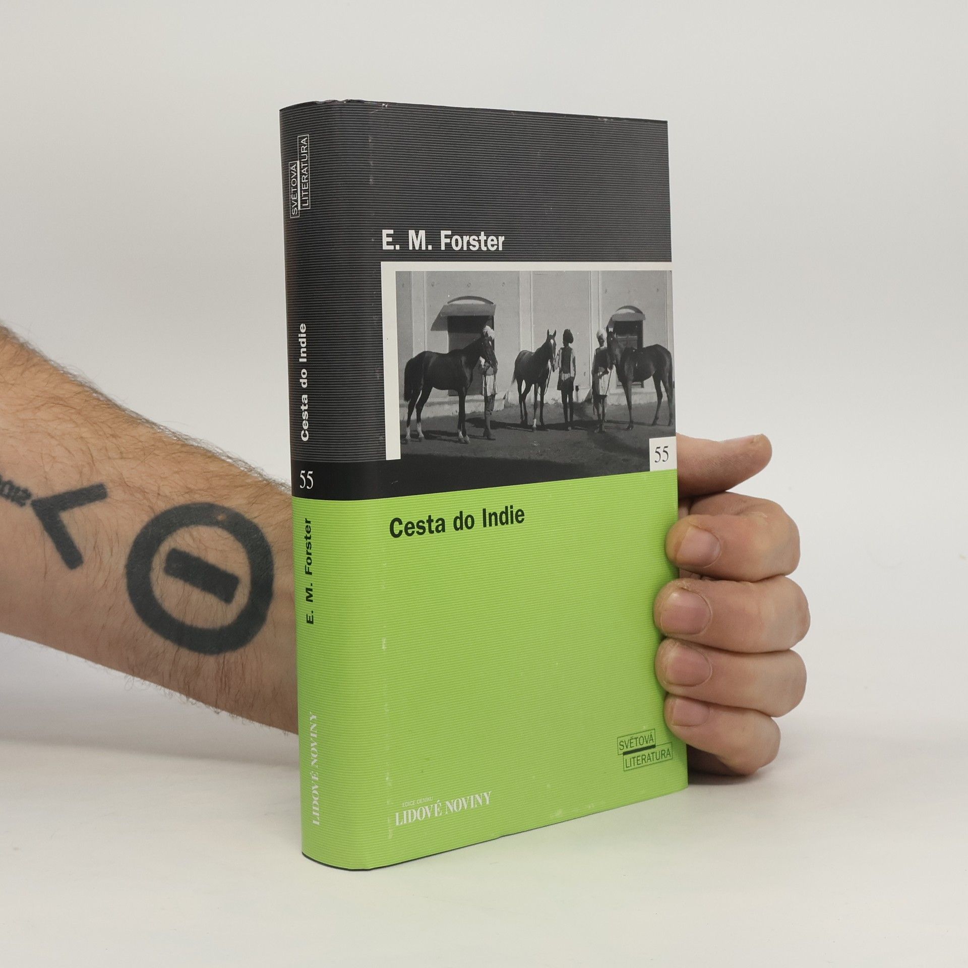 Edward M. Forster Cesta do Indie